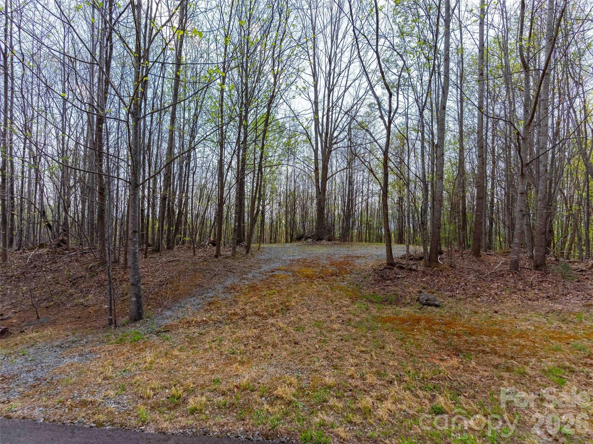 Lot at Lot 196 Cherry Hill, Mill Spring, photo 6 of 18