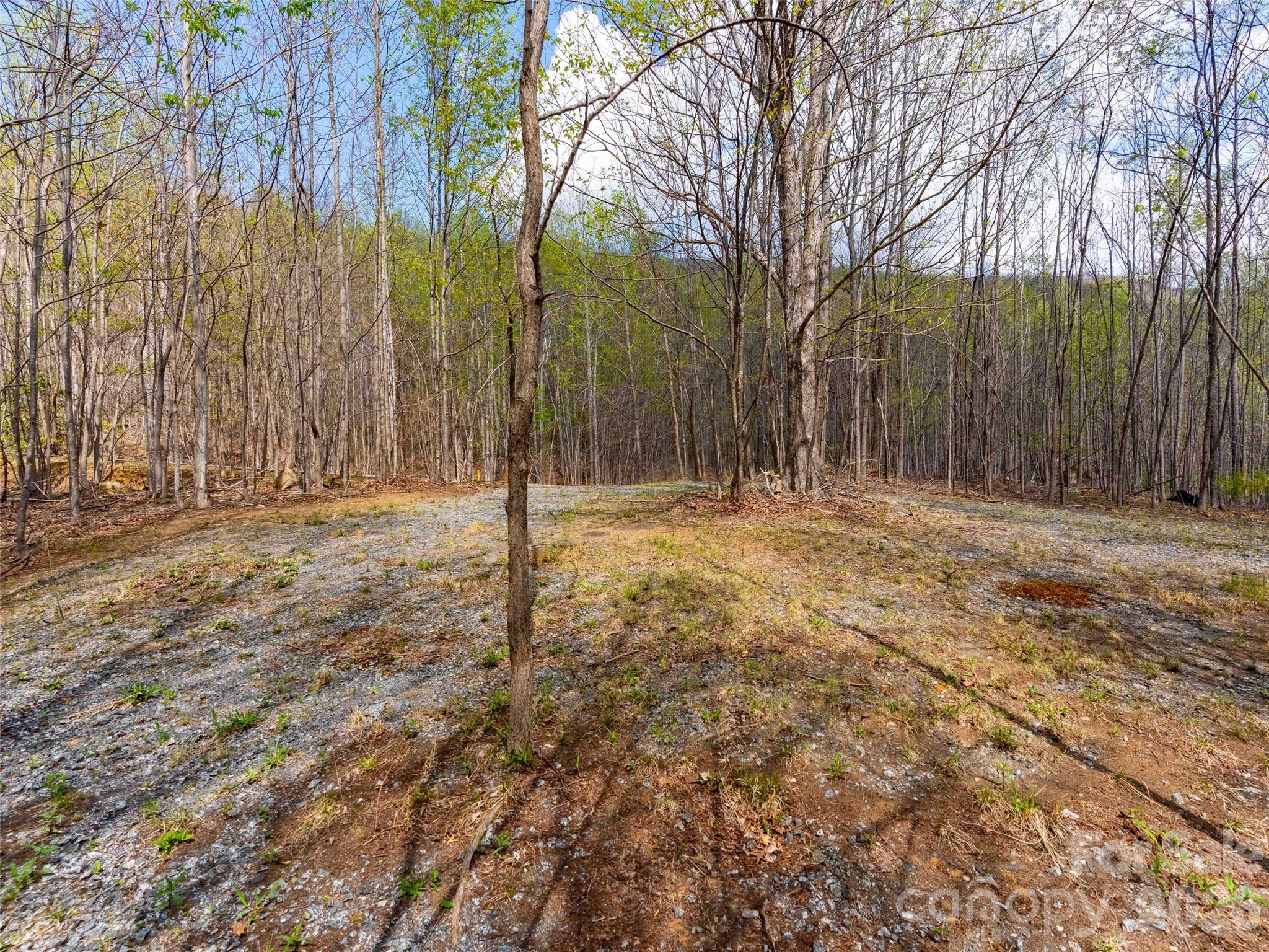 Lot at Lot 196 Cherry Hill, Mill Spring, photo 7 of 18