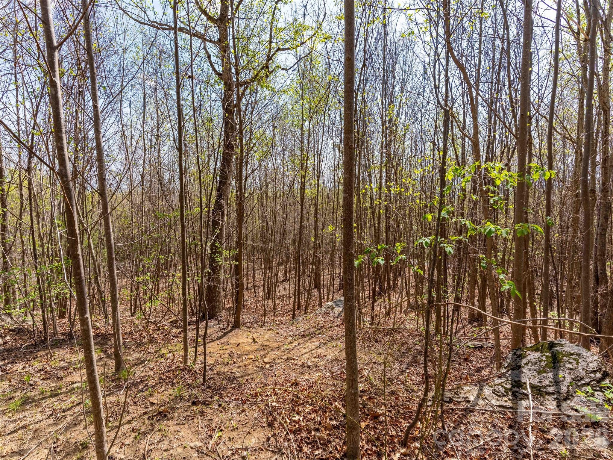 Lot at Lot 196 Cherry Hill, Mill Spring, photo 8 of 18