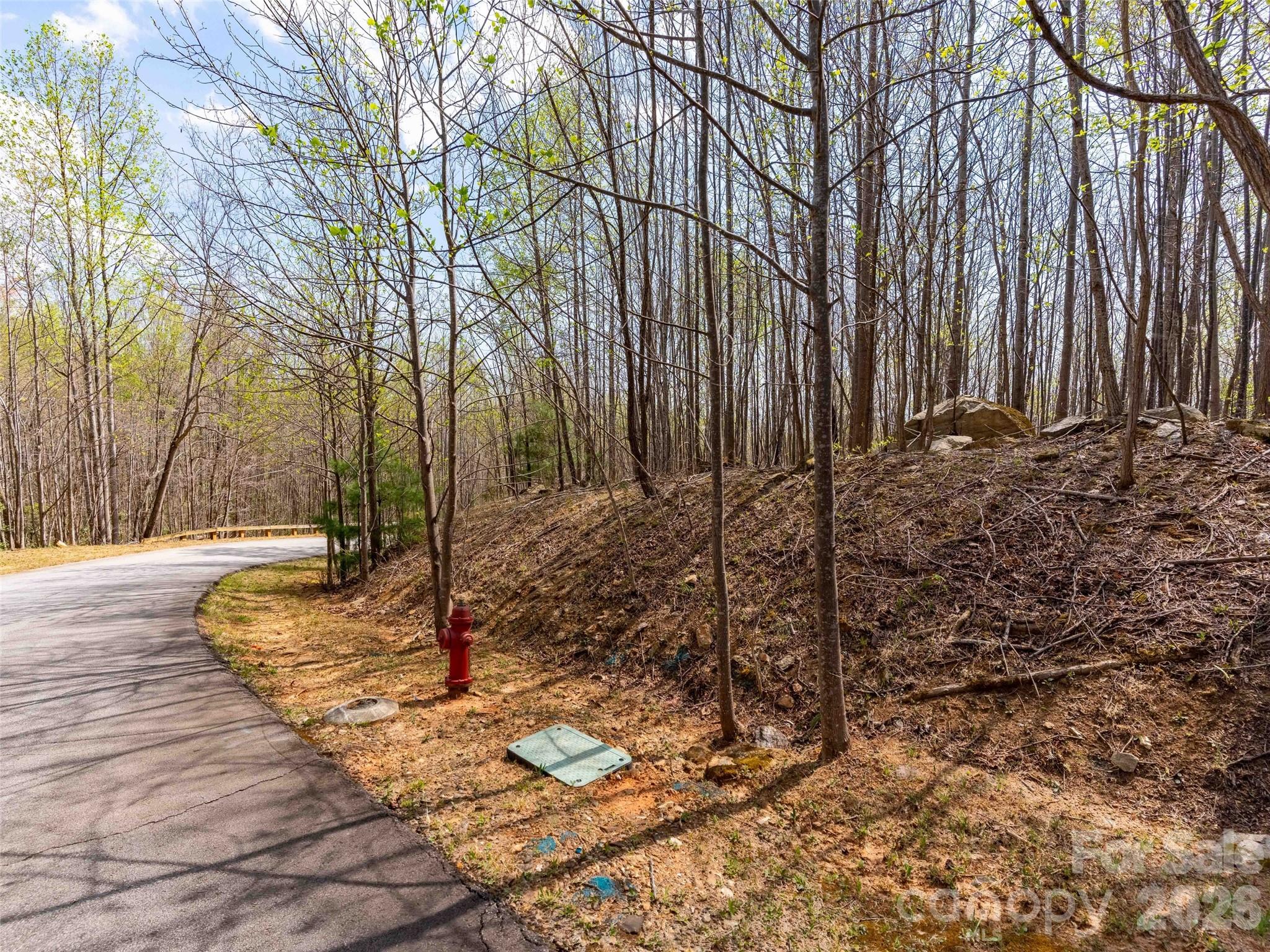Lot at Lot 196 Cherry Hill, Mill Spring, photo 9 of 18