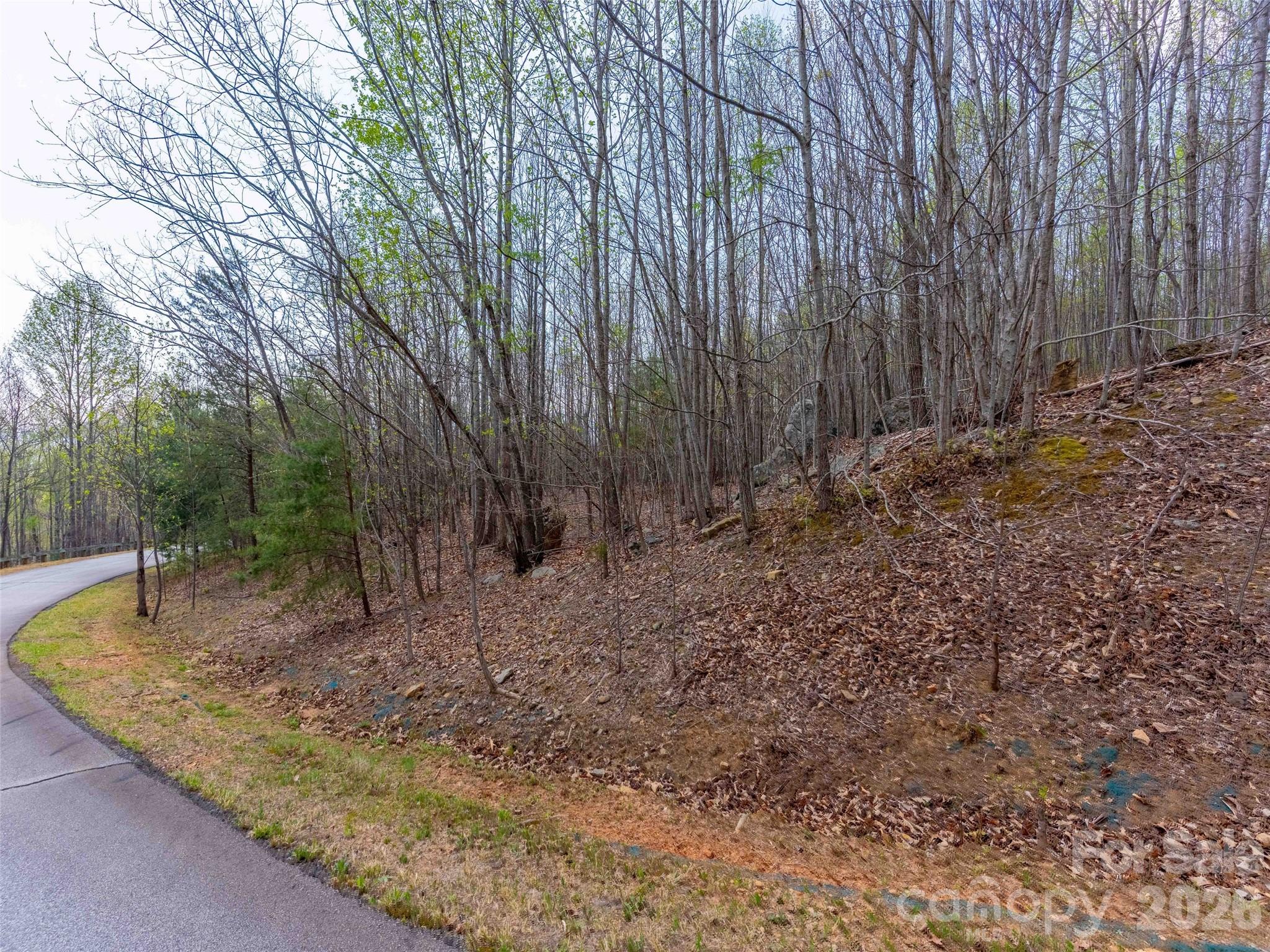 Lot at Lot 196 Cherry Hill, Mill Spring, photo 10 of 18