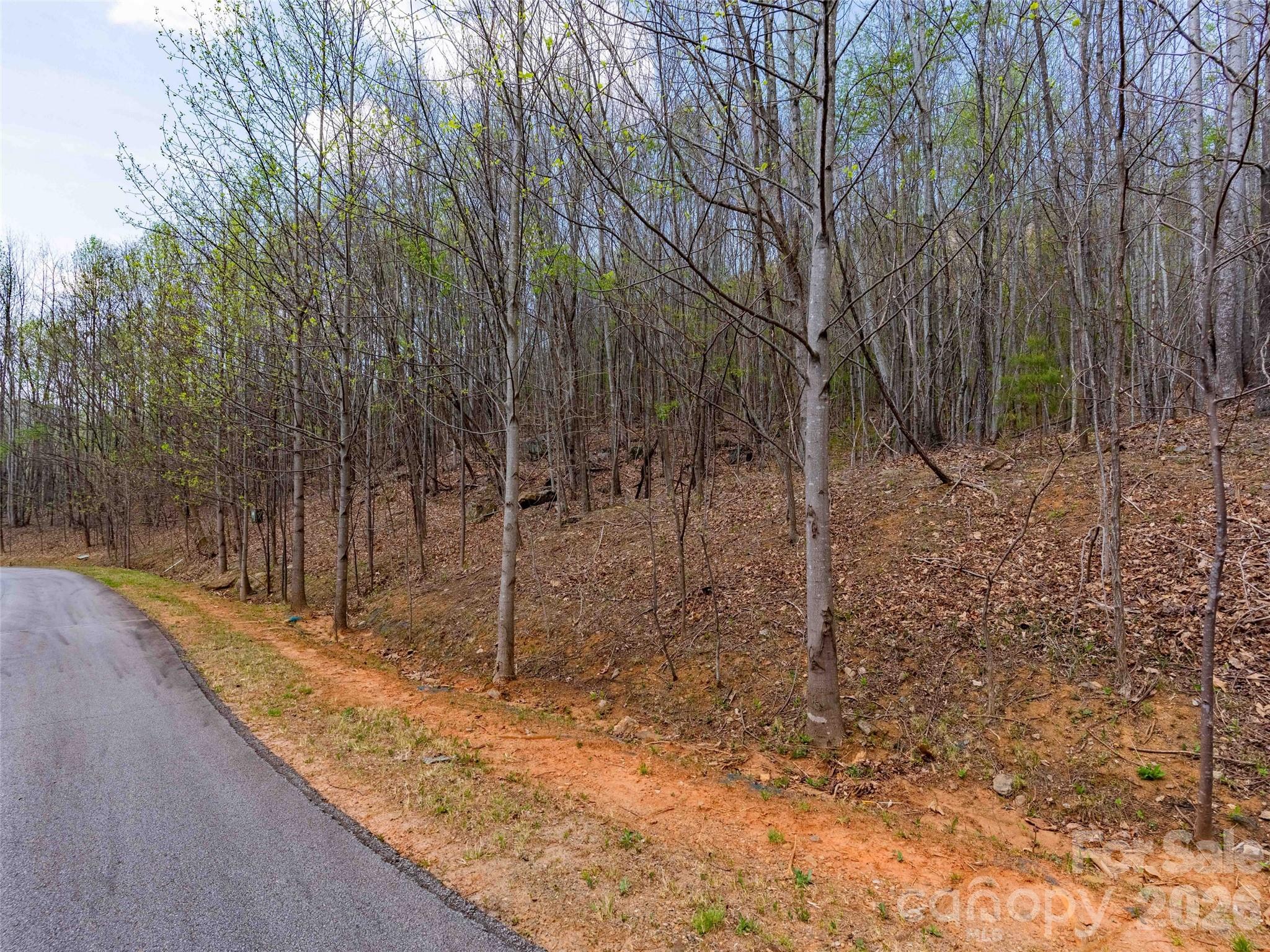 Lot at Lot 196 Cherry Hill, Mill Spring, photo 11 of 18