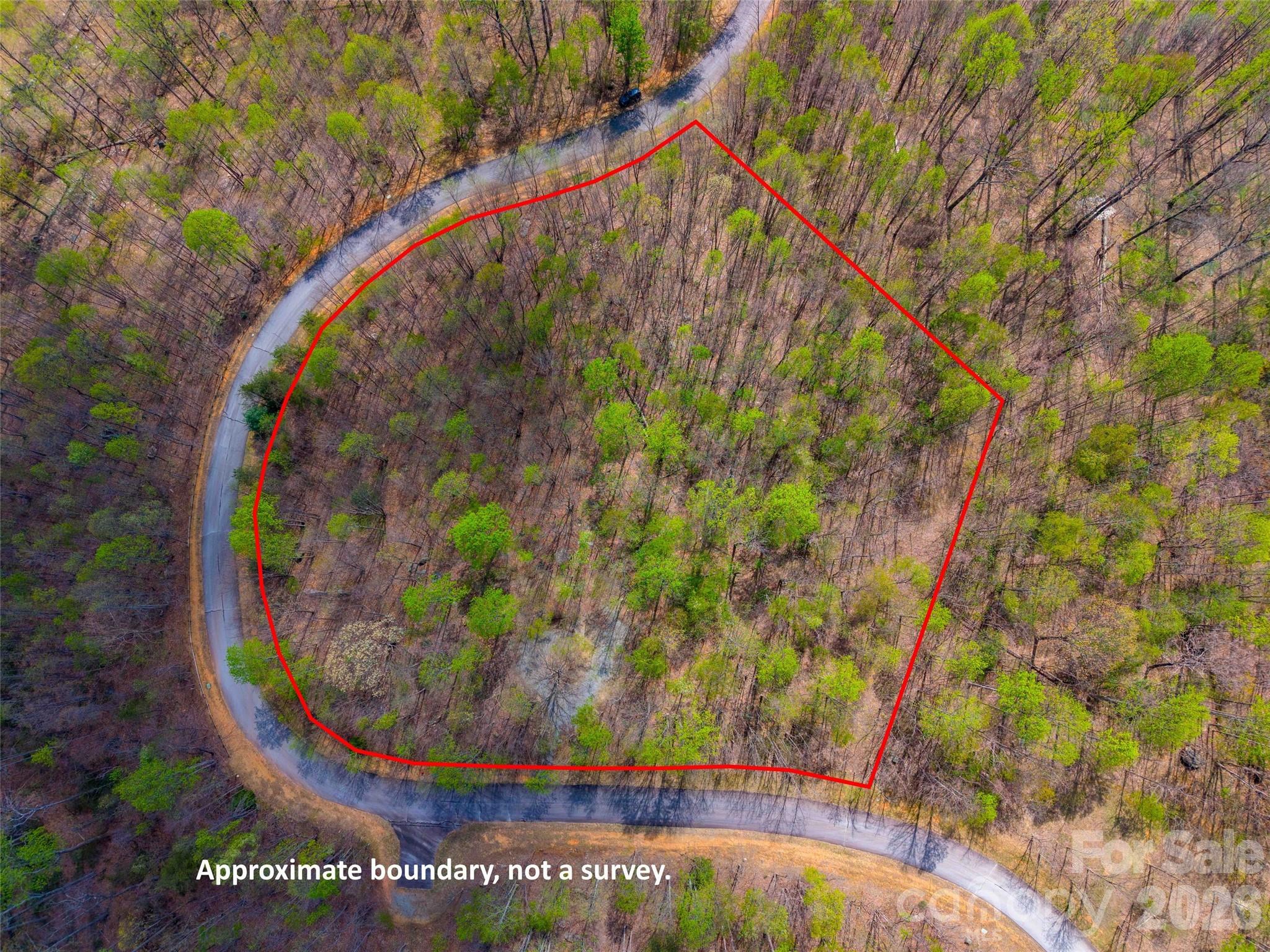 Lot at Lot 196 Cherry Hill, Mill Spring, photo 14 of 18