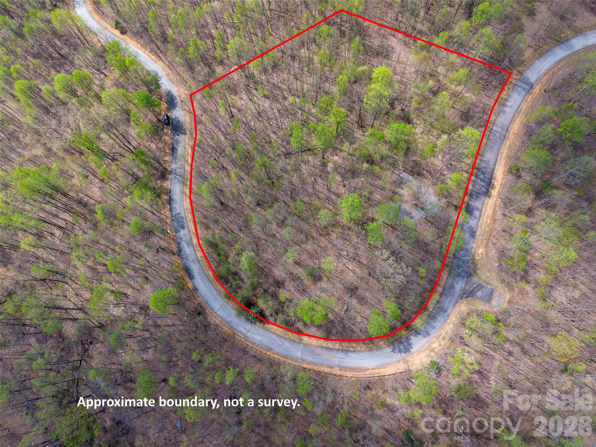 Lot at Lot 196 Cherry Hill, Mill Spring, photo 16 of 18