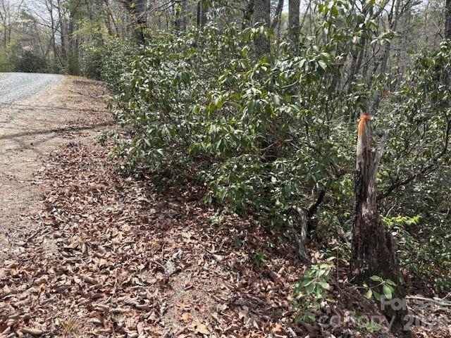 lot 291 - 0 Poodles Way, Lake Lure