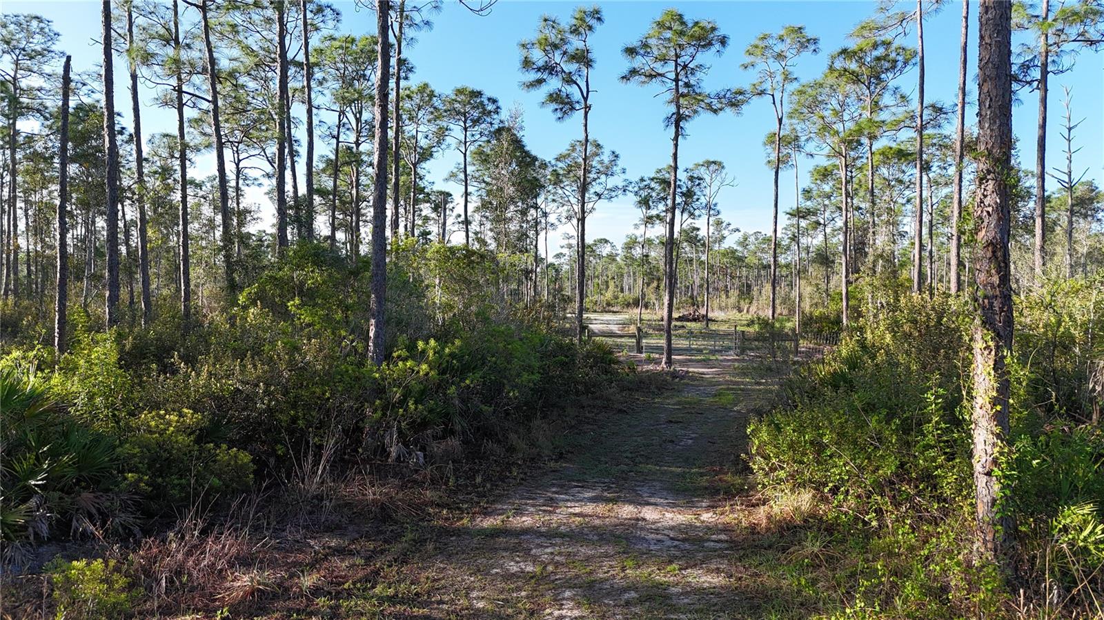Land at 14350 BURNT STORE RD, PUNTA GORDA, photo 5 of 34