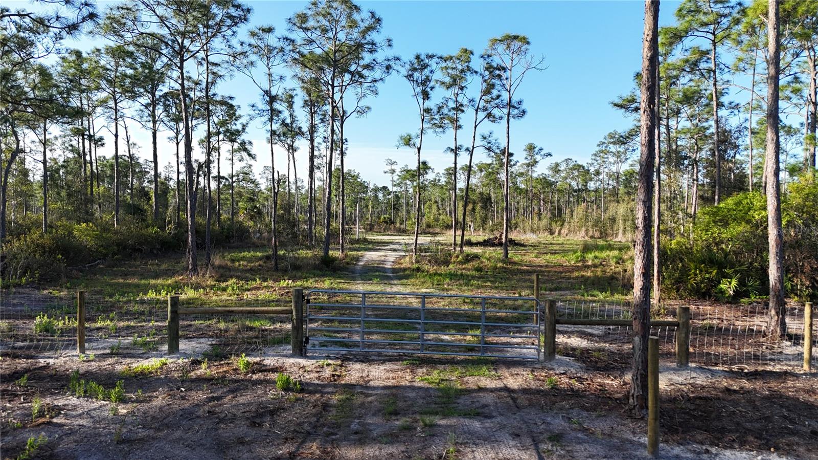 Land at 14350 BURNT STORE RD, PUNTA GORDA, photo 6 of 34