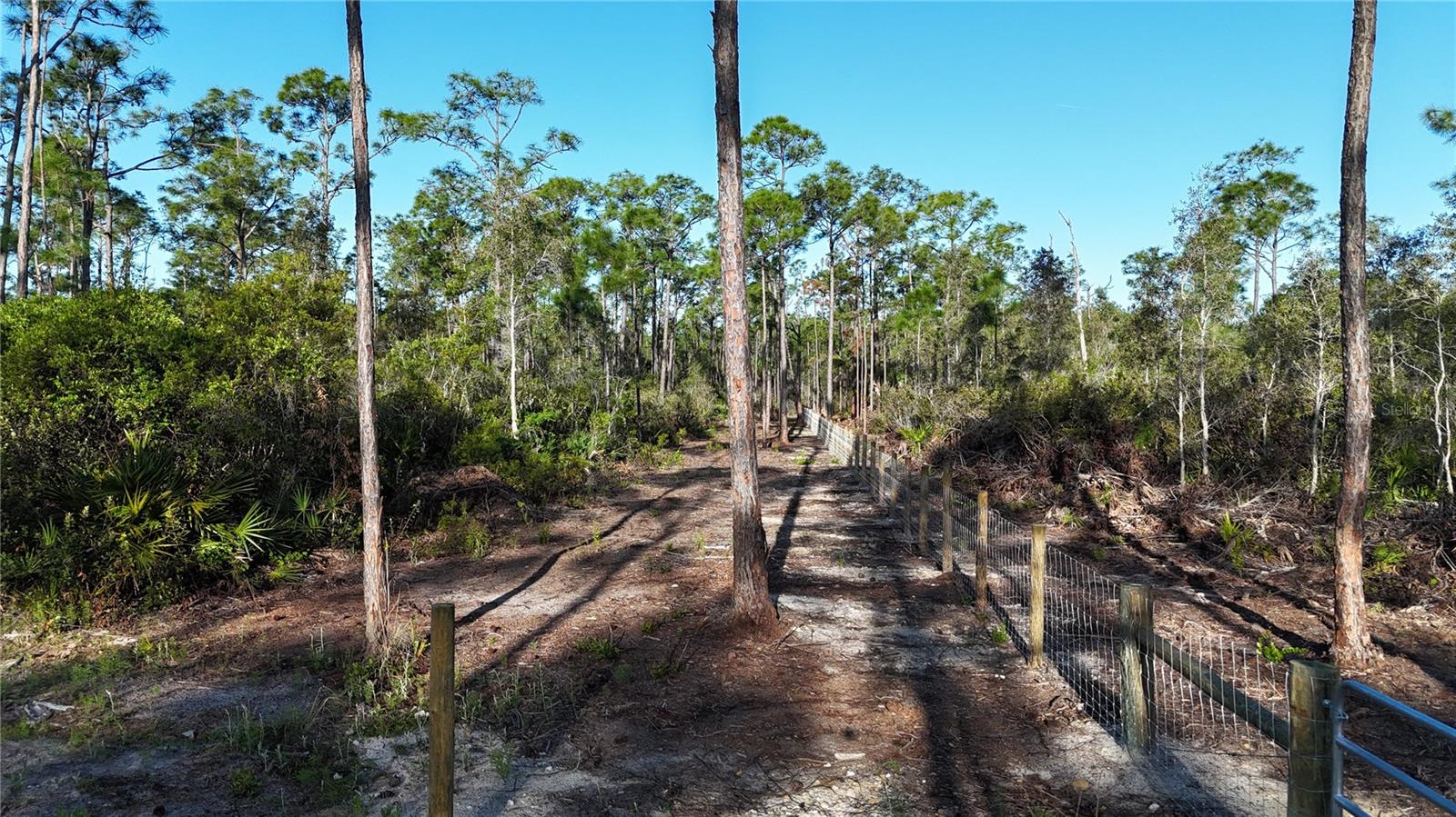Land at 14350 BURNT STORE RD, PUNTA GORDA, photo 7 of 34