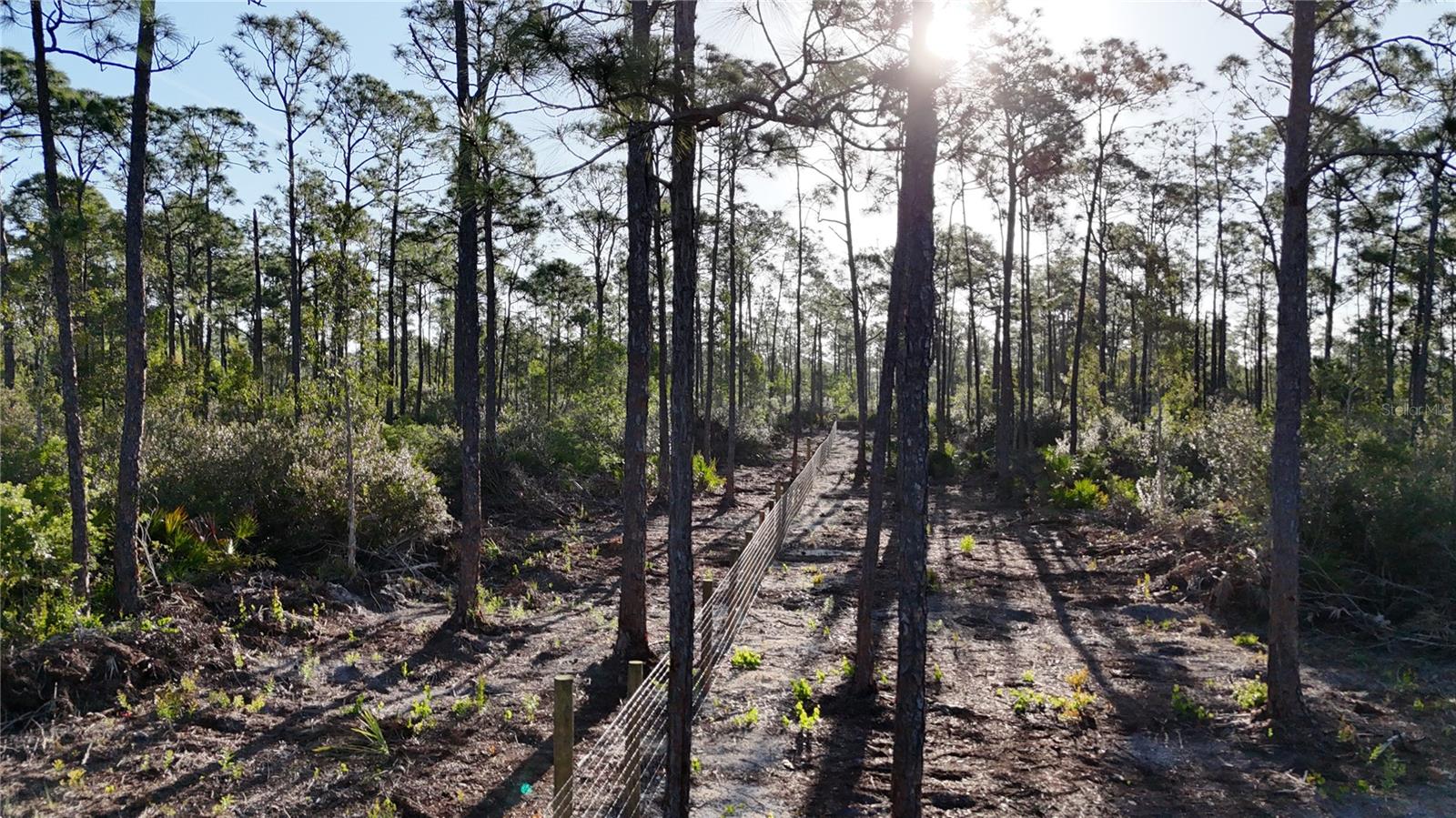 Land at 14350 BURNT STORE RD, PUNTA GORDA, photo 8 of 34