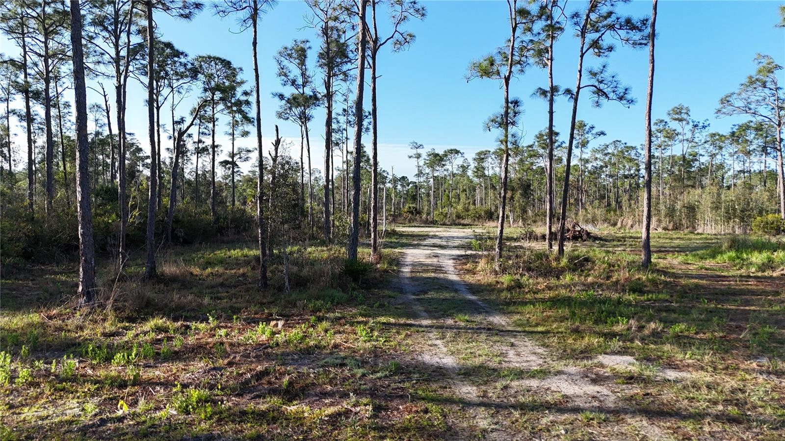 Land at 14350 BURNT STORE RD, PUNTA GORDA, photo 9 of 34
