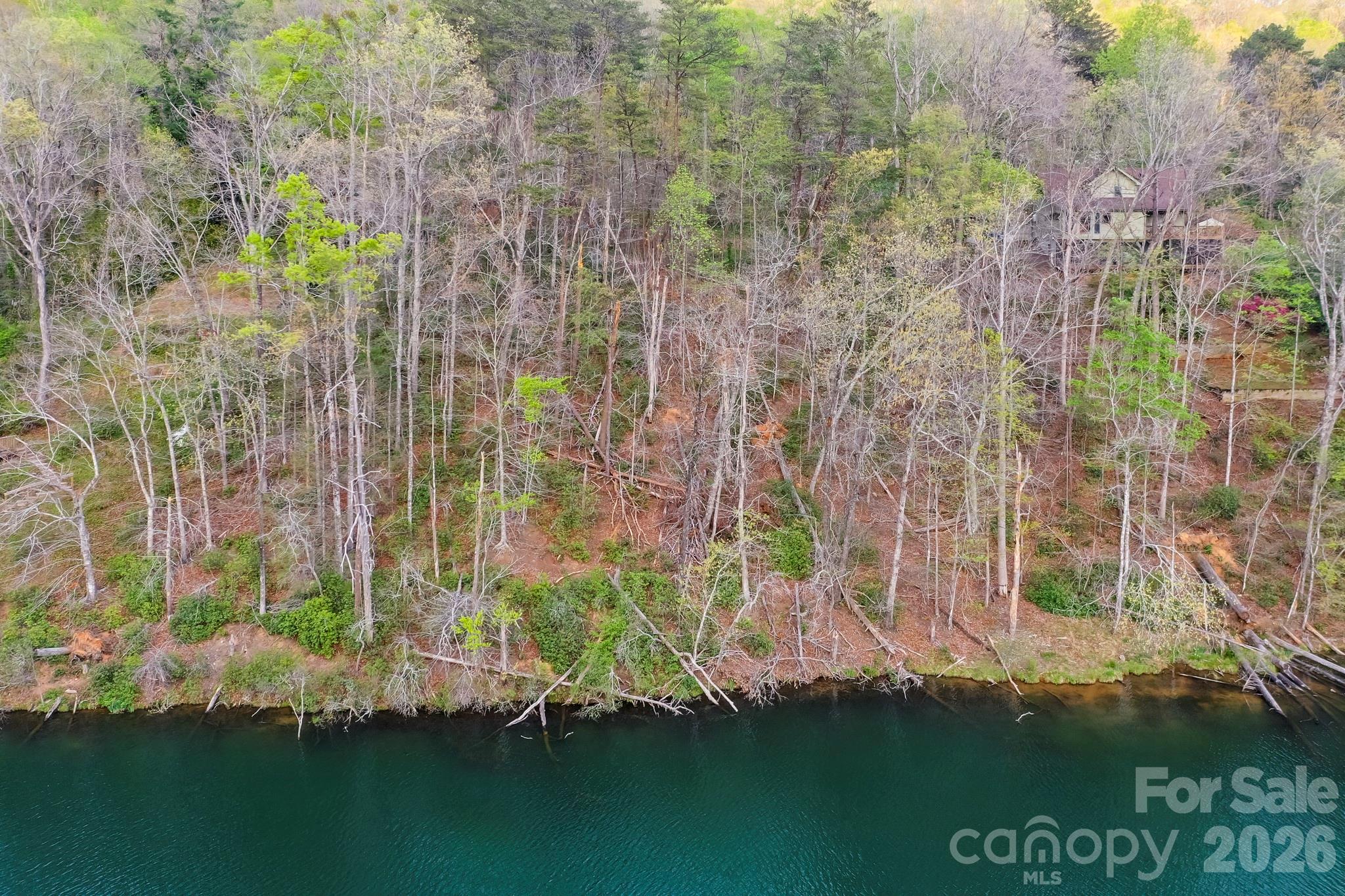 Lot at 0000 Buffalo Creek Road, Lake Lure, photo 5 of 33