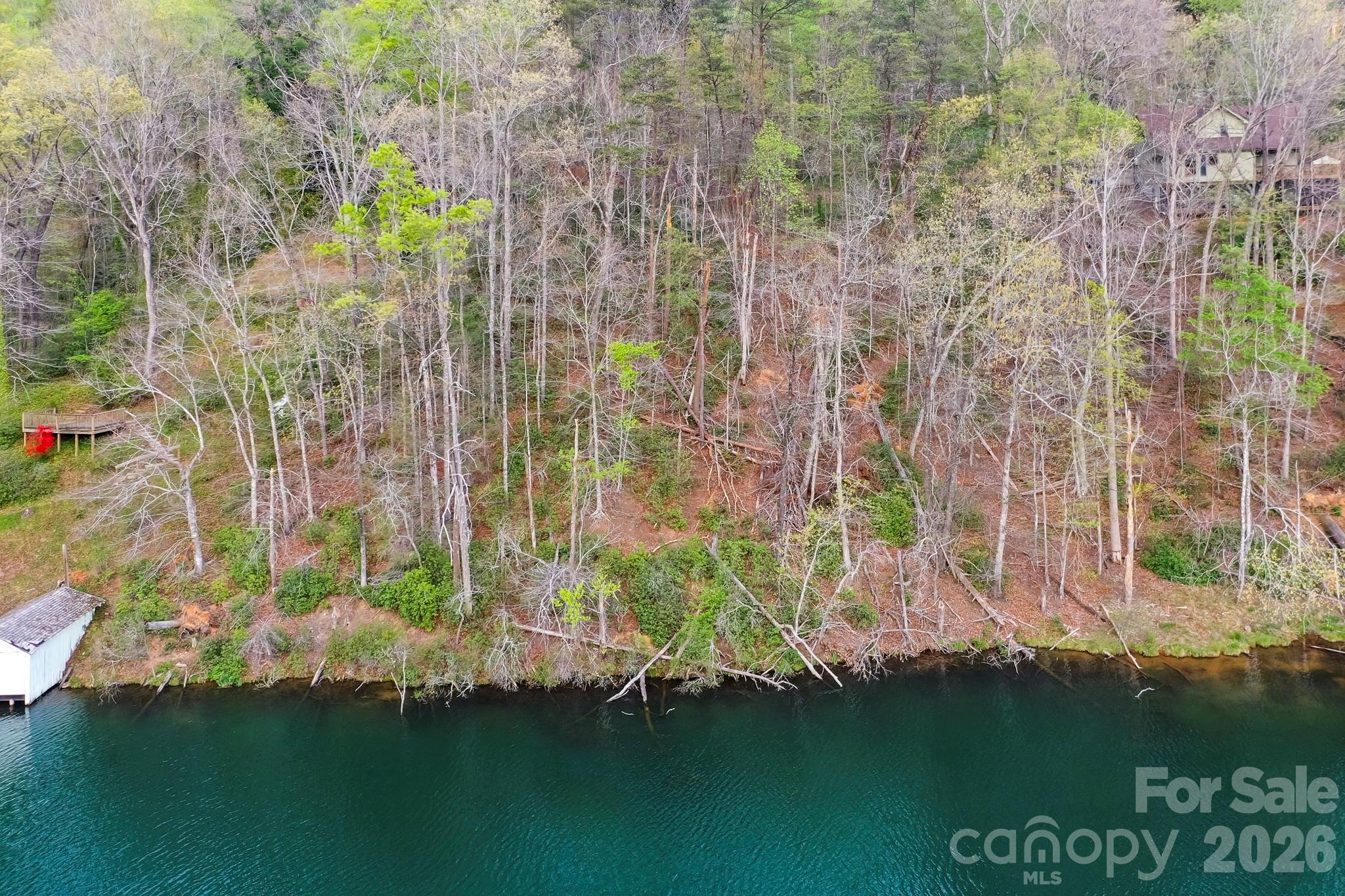 Lot at 0000 Buffalo Creek Road, Lake Lure, photo 6 of 33