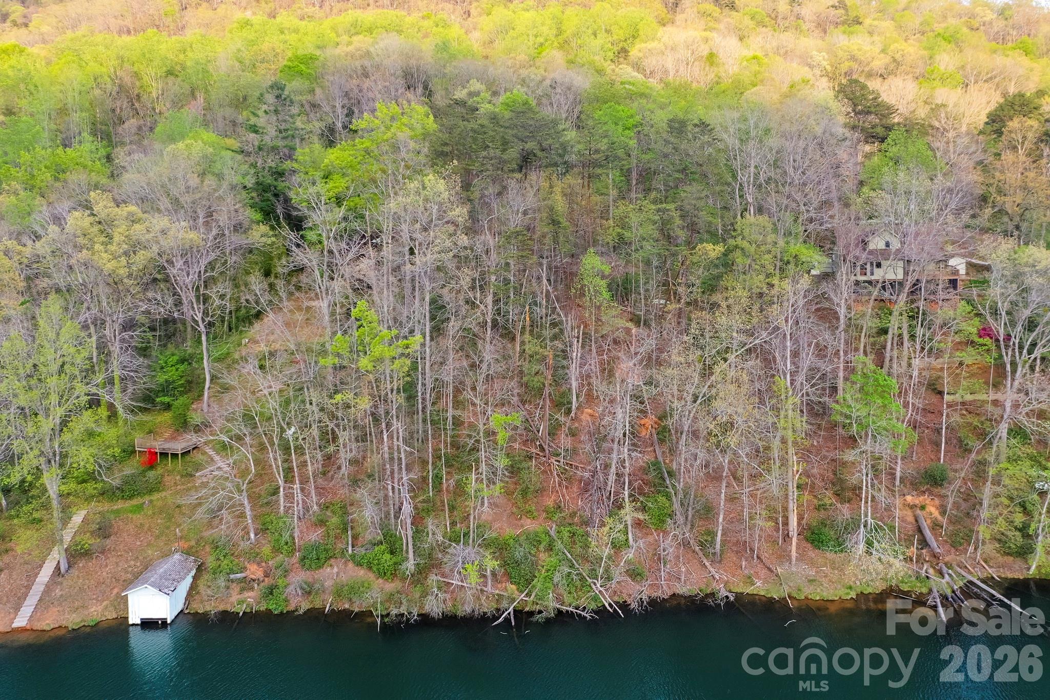 Lot at 0000 Buffalo Creek Road, Lake Lure, photo 7 of 33