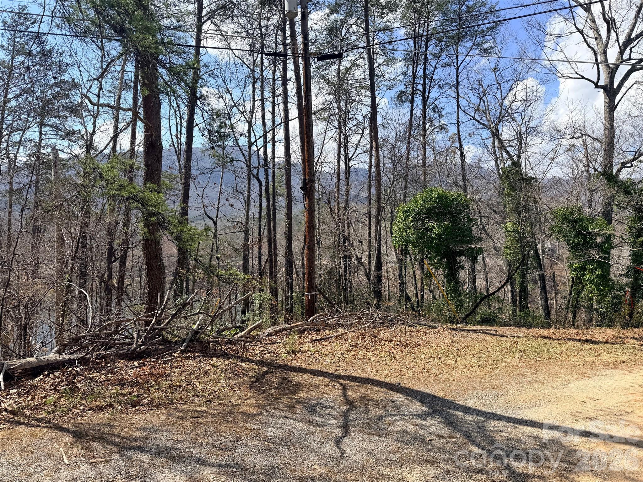 Lot at 0000 Buffalo Creek Road, Lake Lure, photo 8 of 33
