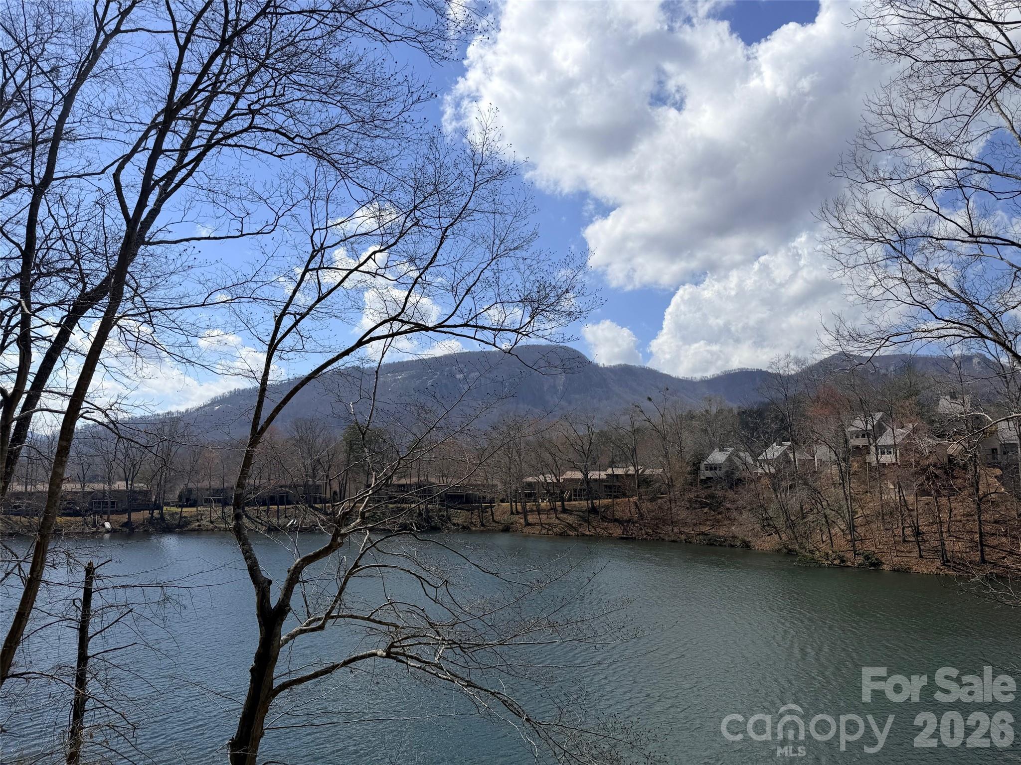 Lot at 0000 Buffalo Creek Road, Lake Lure, photo 9 of 33