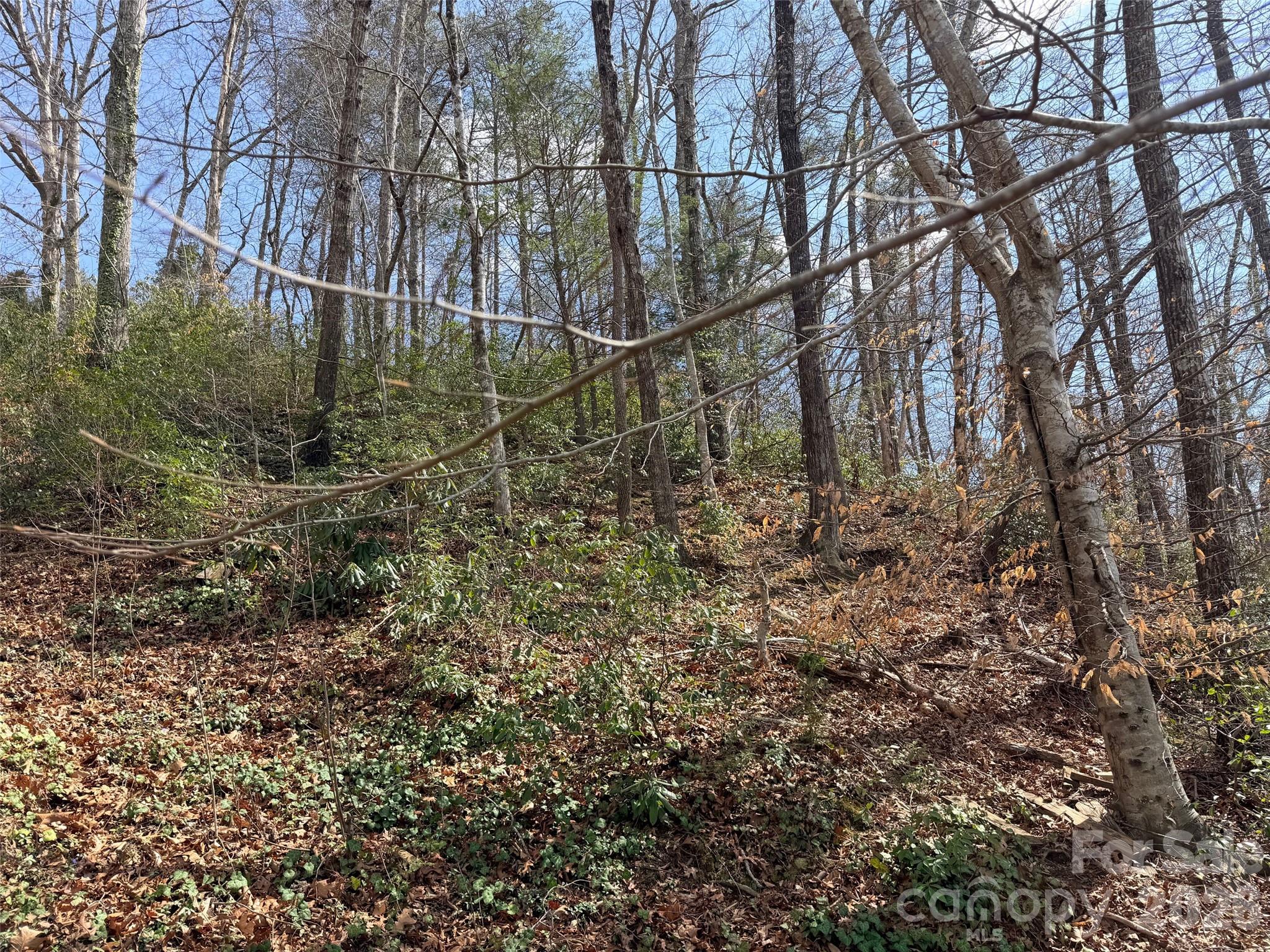 Lot at 0000 Buffalo Creek Road, Lake Lure, photo 10 of 33