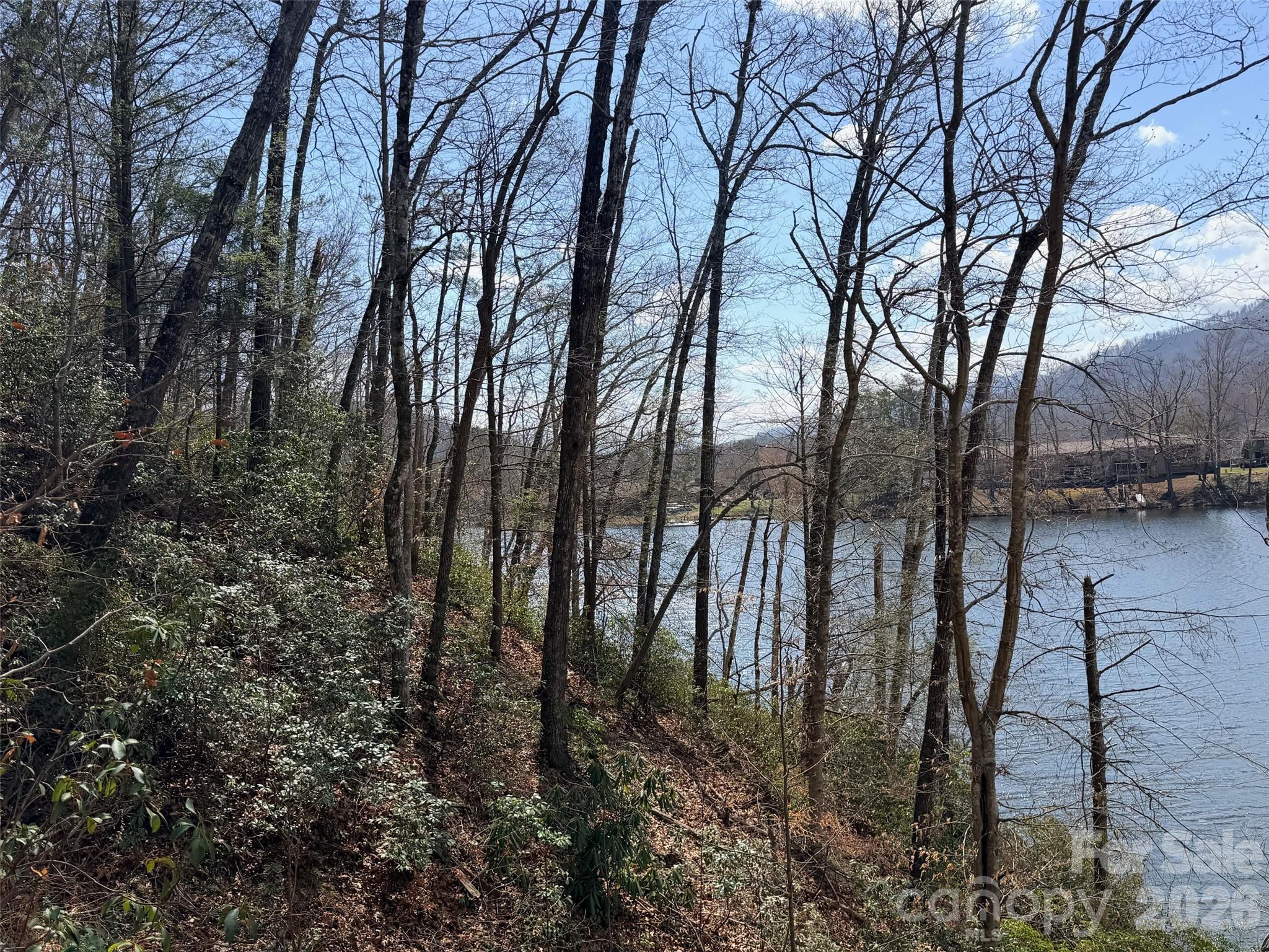 Lot at 0000 Buffalo Creek Road, Lake Lure, photo 11 of 33