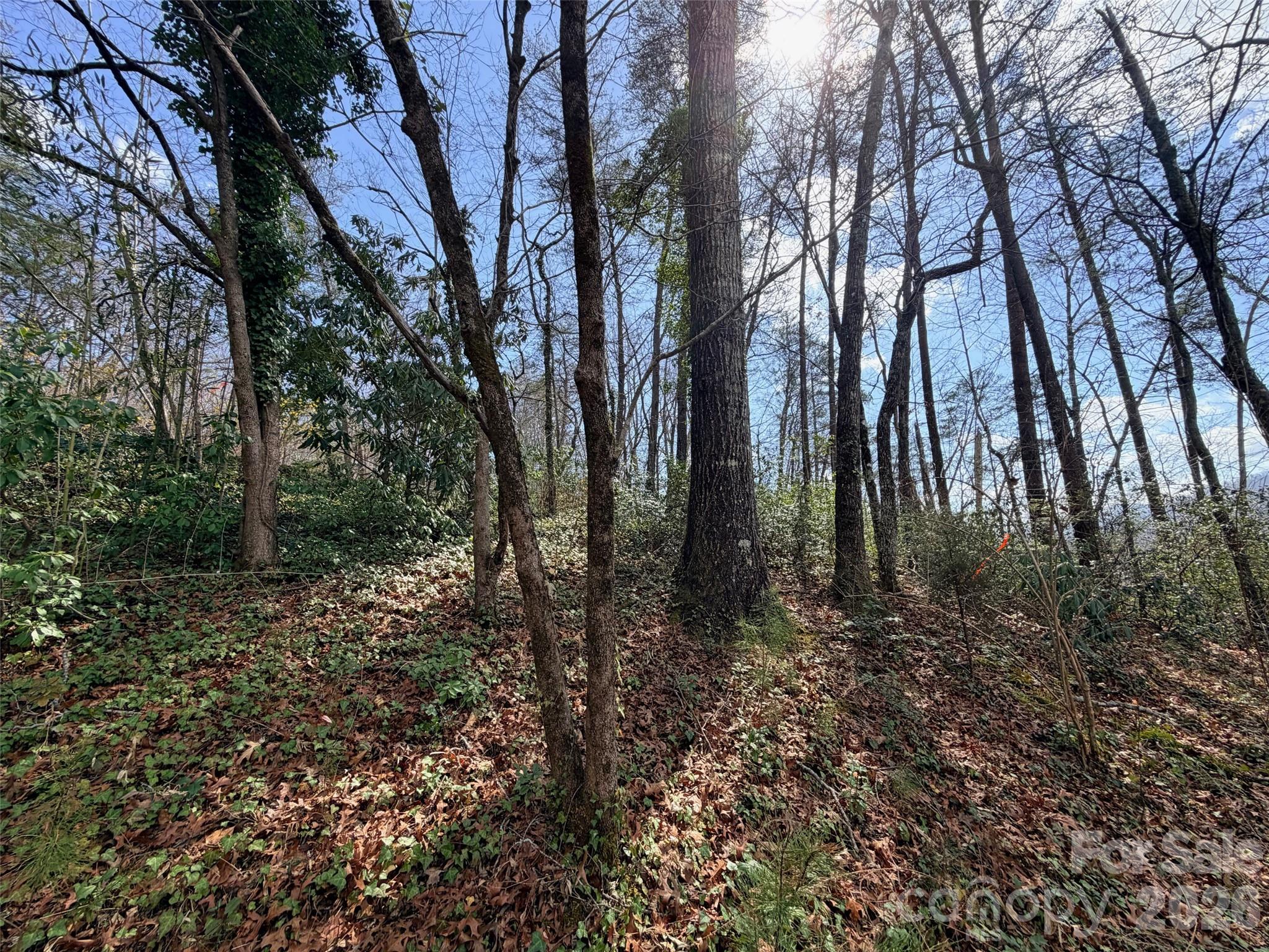 Lot at 0000 Buffalo Creek Road, Lake Lure, photo 12 of 33
