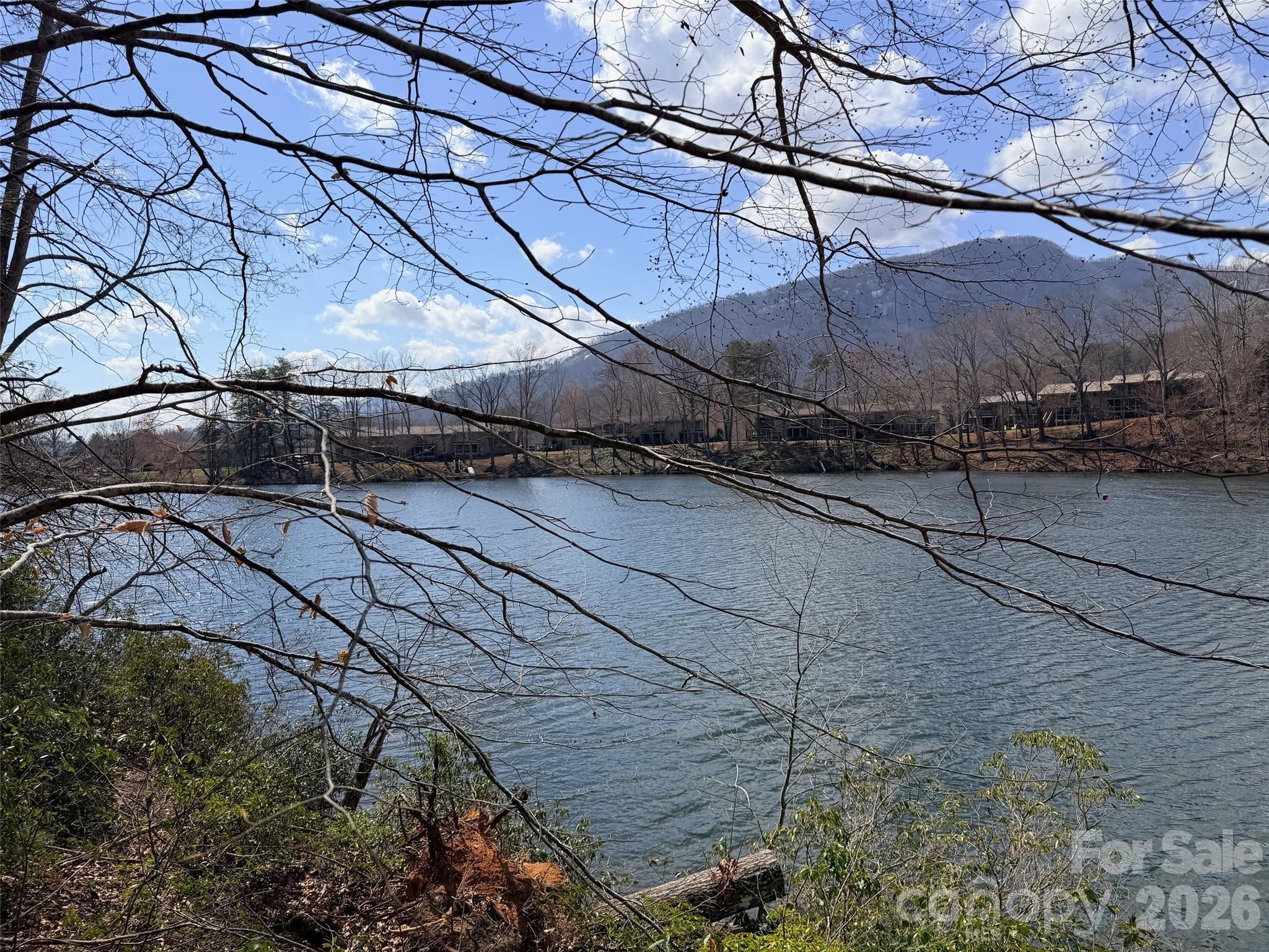 Lot at 0000 Buffalo Creek Road, Lake Lure, photo 14 of 33