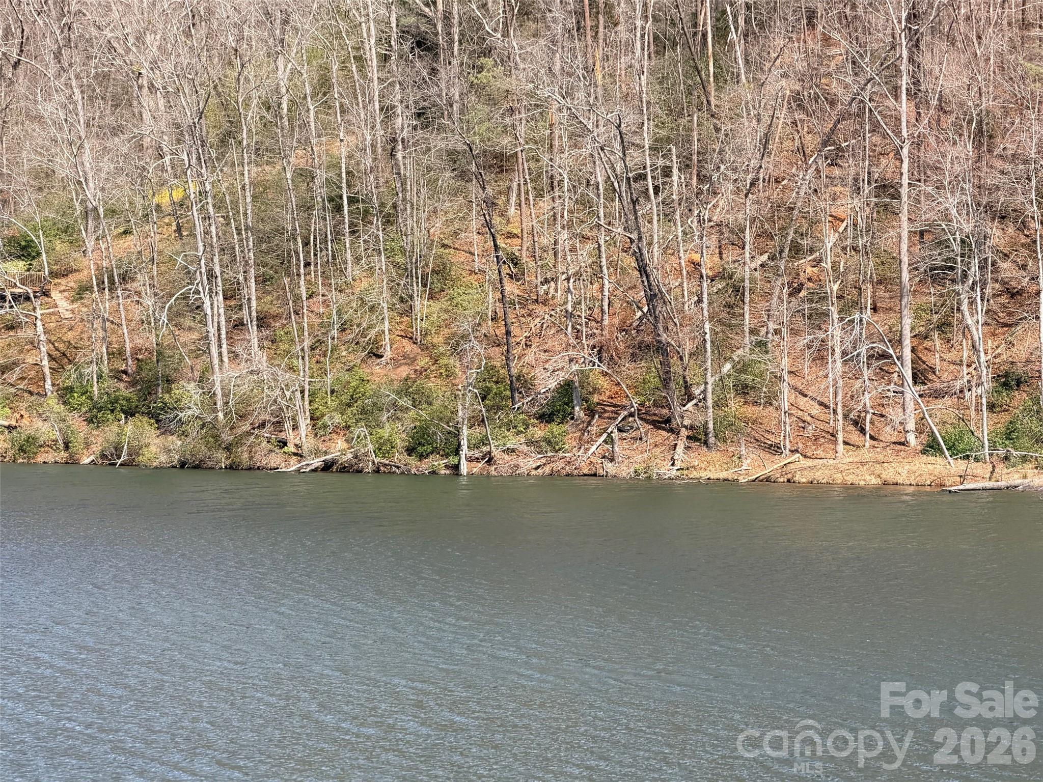 Lot at 0000 Buffalo Creek Road, Lake Lure, photo 15 of 33