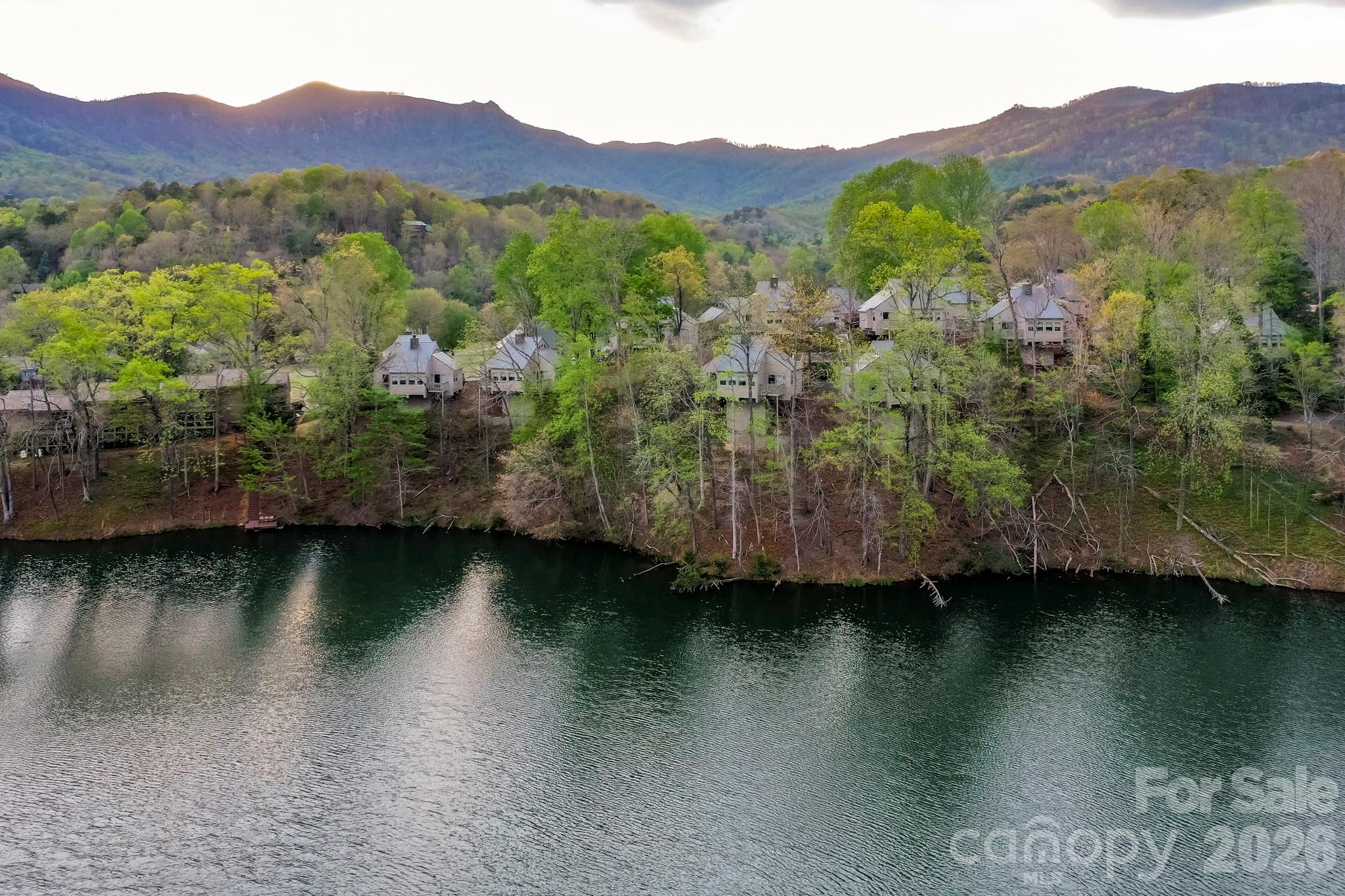 Lot at 0000 Buffalo Creek Road, Lake Lure, photo 16 of 33