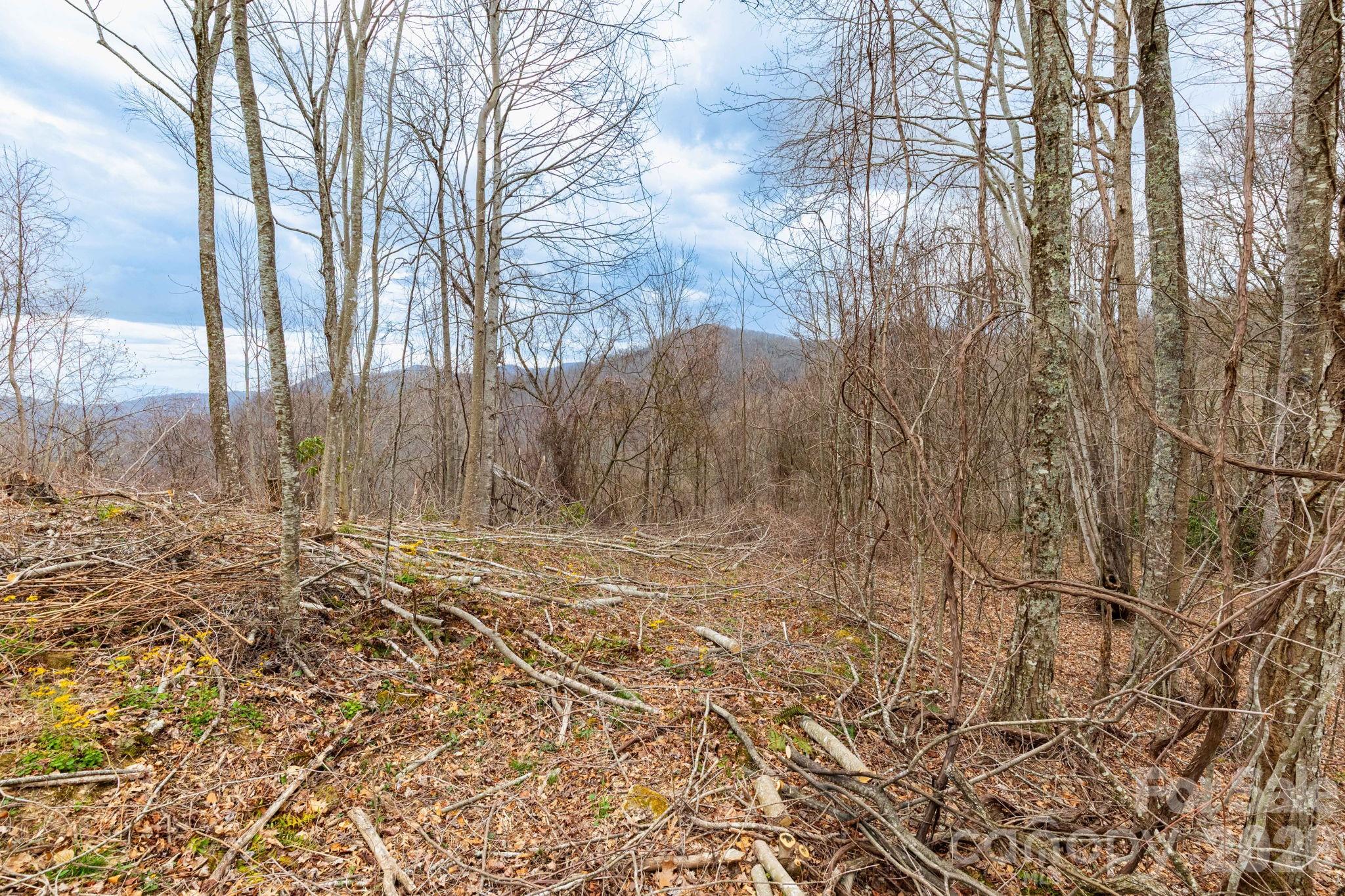 Lot at 11 Chandra Lane, Clyde, photo 4 of 15