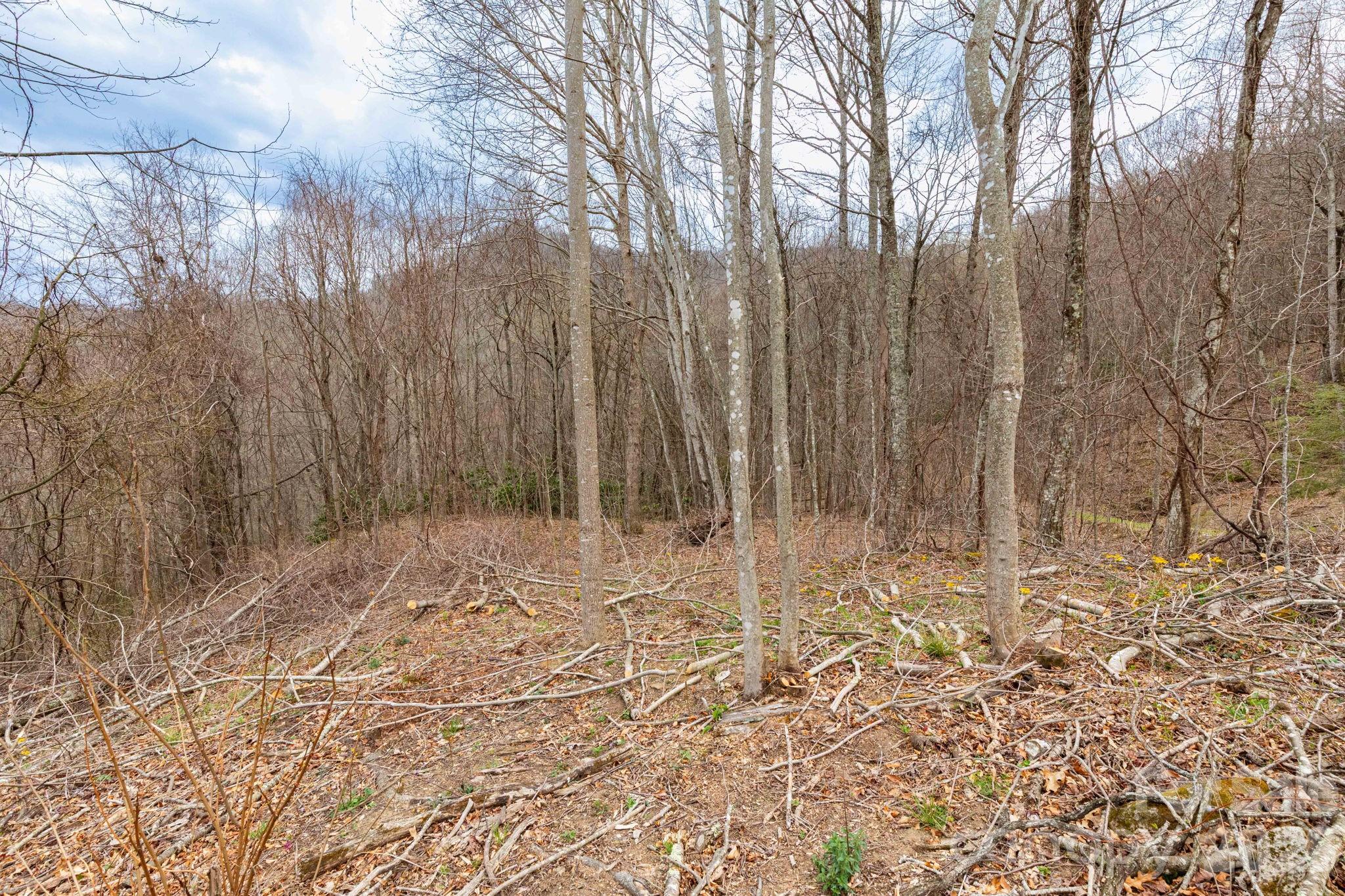 Lot at 11 Chandra Lane, Clyde, photo 5 of 15