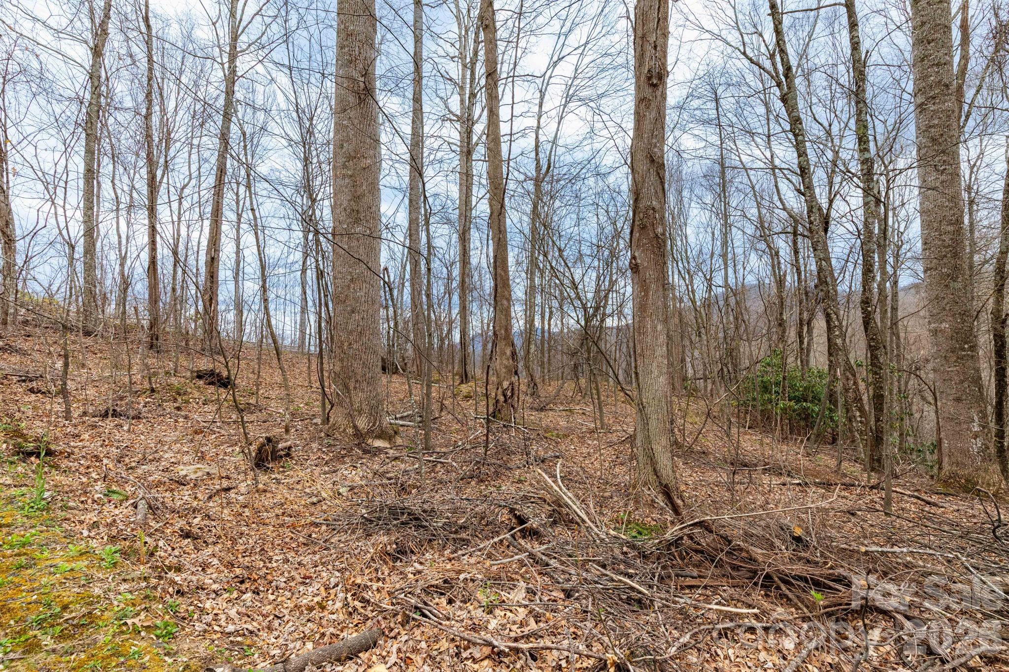 Lot at 11 Chandra Lane, Clyde, photo 6 of 15