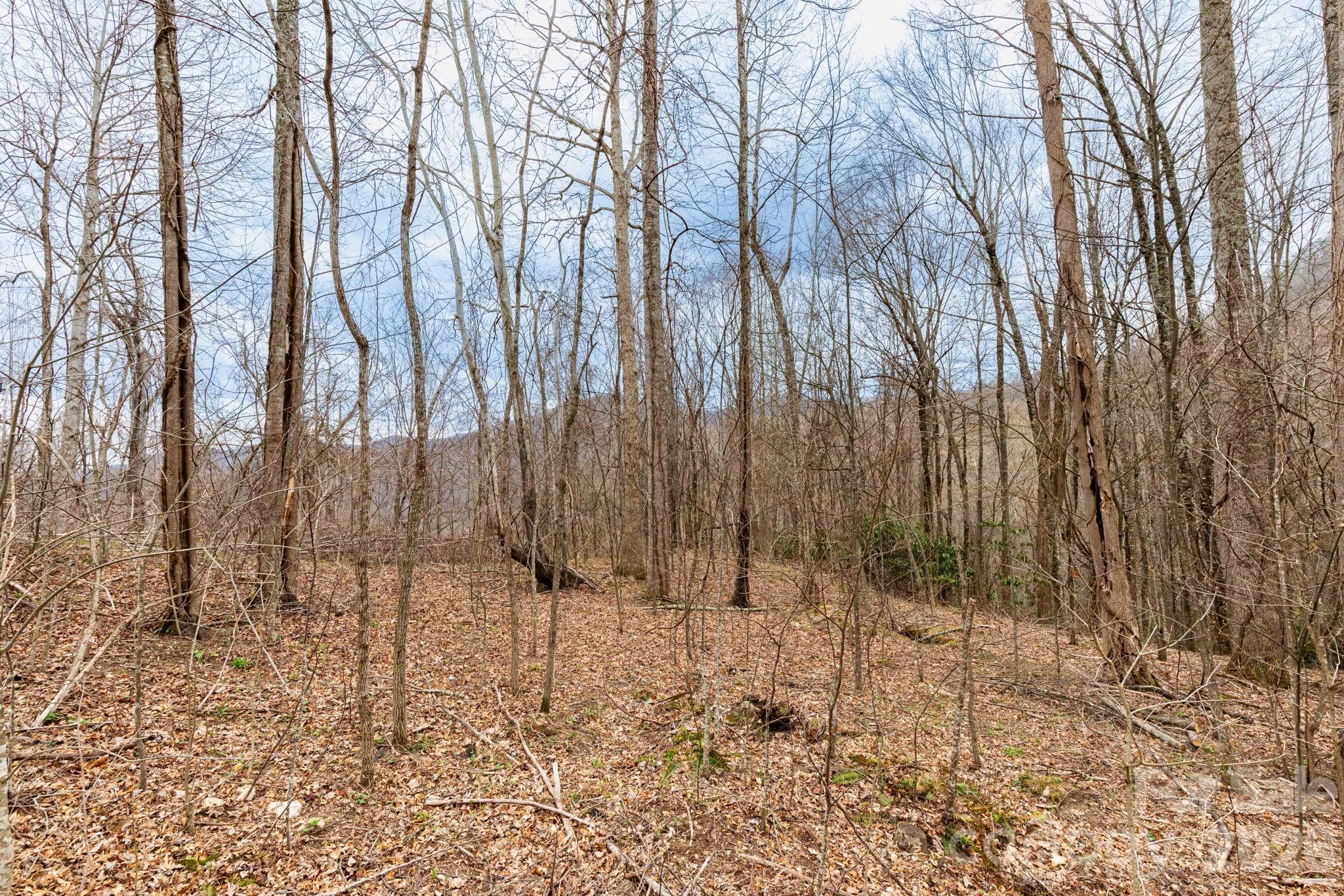 Lot at 11 Chandra Lane, Clyde, photo 7 of 15