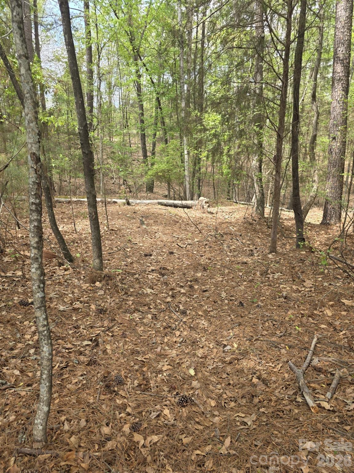 Lot at 2093 Lometa Road, York, photo 2 of 10