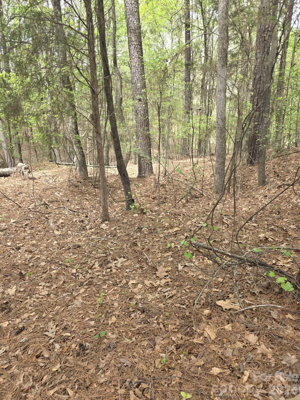 Lot at 2093 Lometa Road, York, photo 3 of 10
