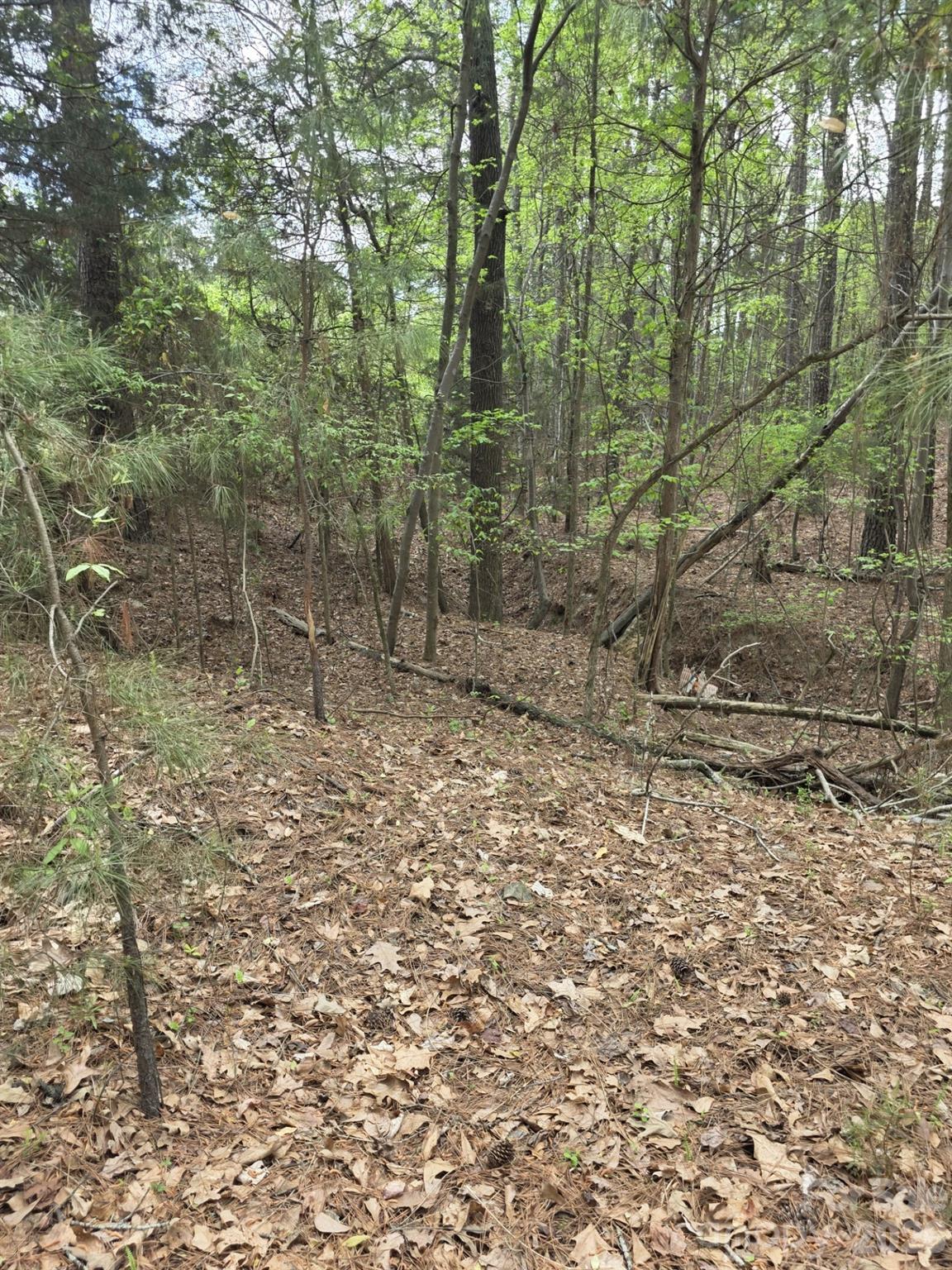 Lot at 2093 Lometa Road, York, photo 4 of 10