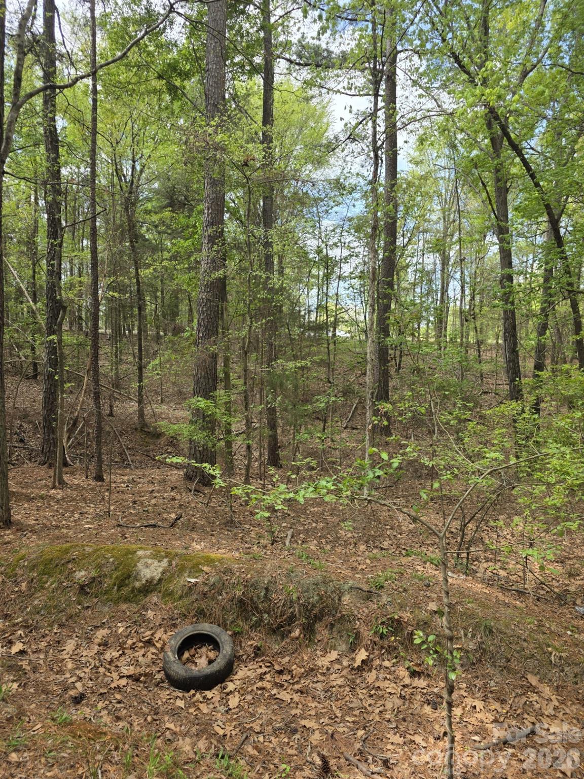 Lot at 2093 Lometa Road, York, photo 6 of 10