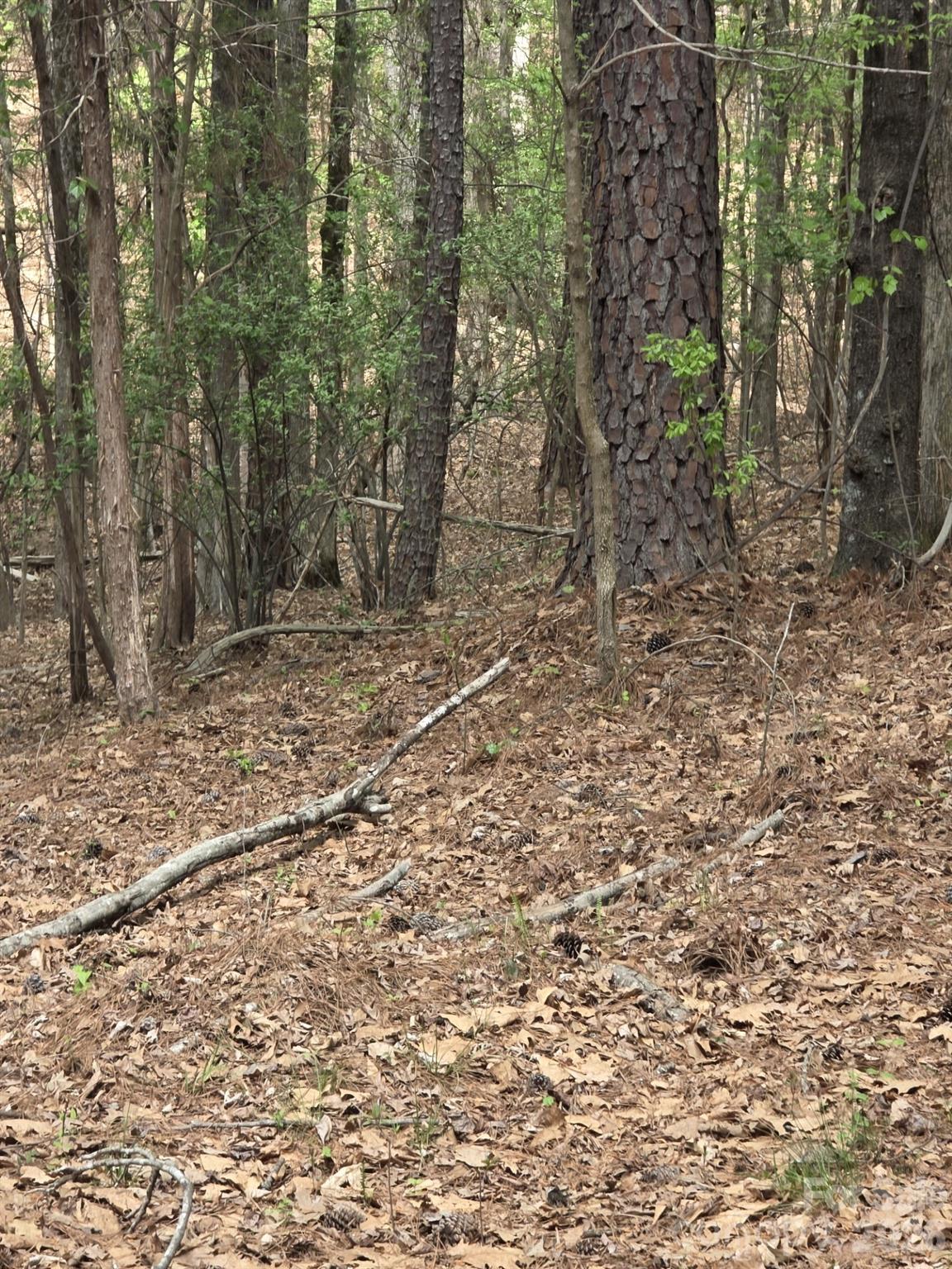 Lot at 2093 Lometa Road, York, photo 7 of 10