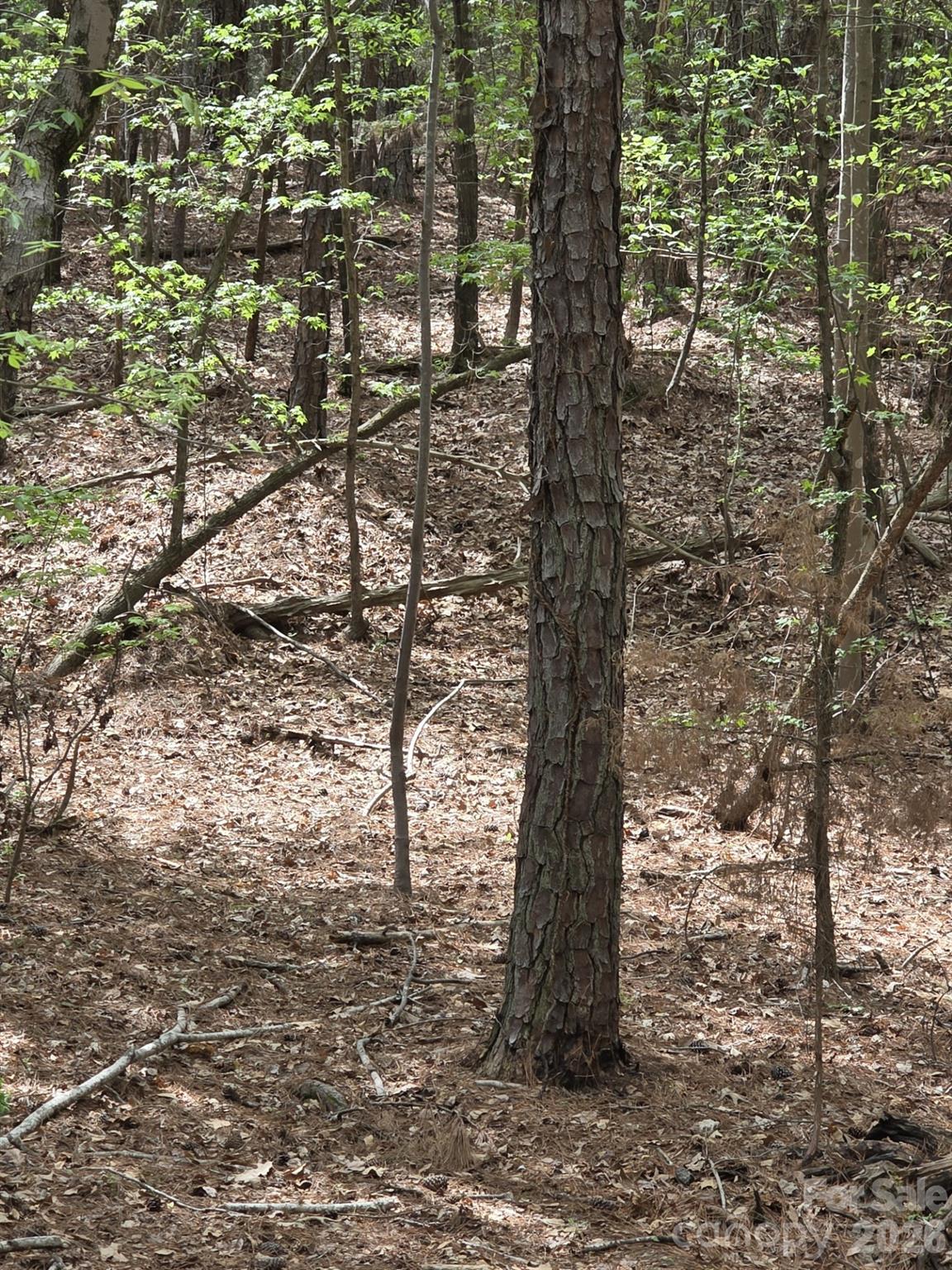 Lot at 2093 Lometa Road, York, photo 8 of 10