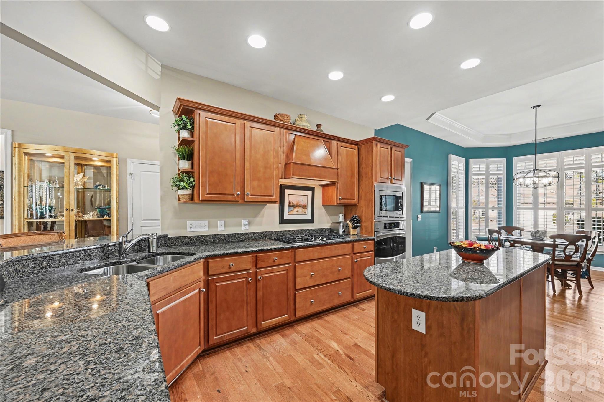 Single Family Residence at 49015 Gladiolus Street, Indian Land, photo 6 of 47