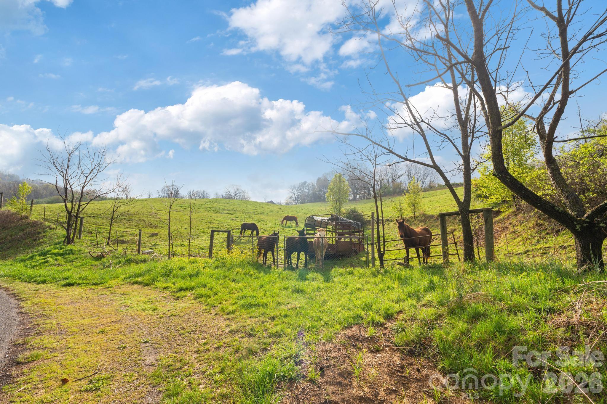 Acreage at 618 Beaverdam Street, Canton, photo 10 of 21