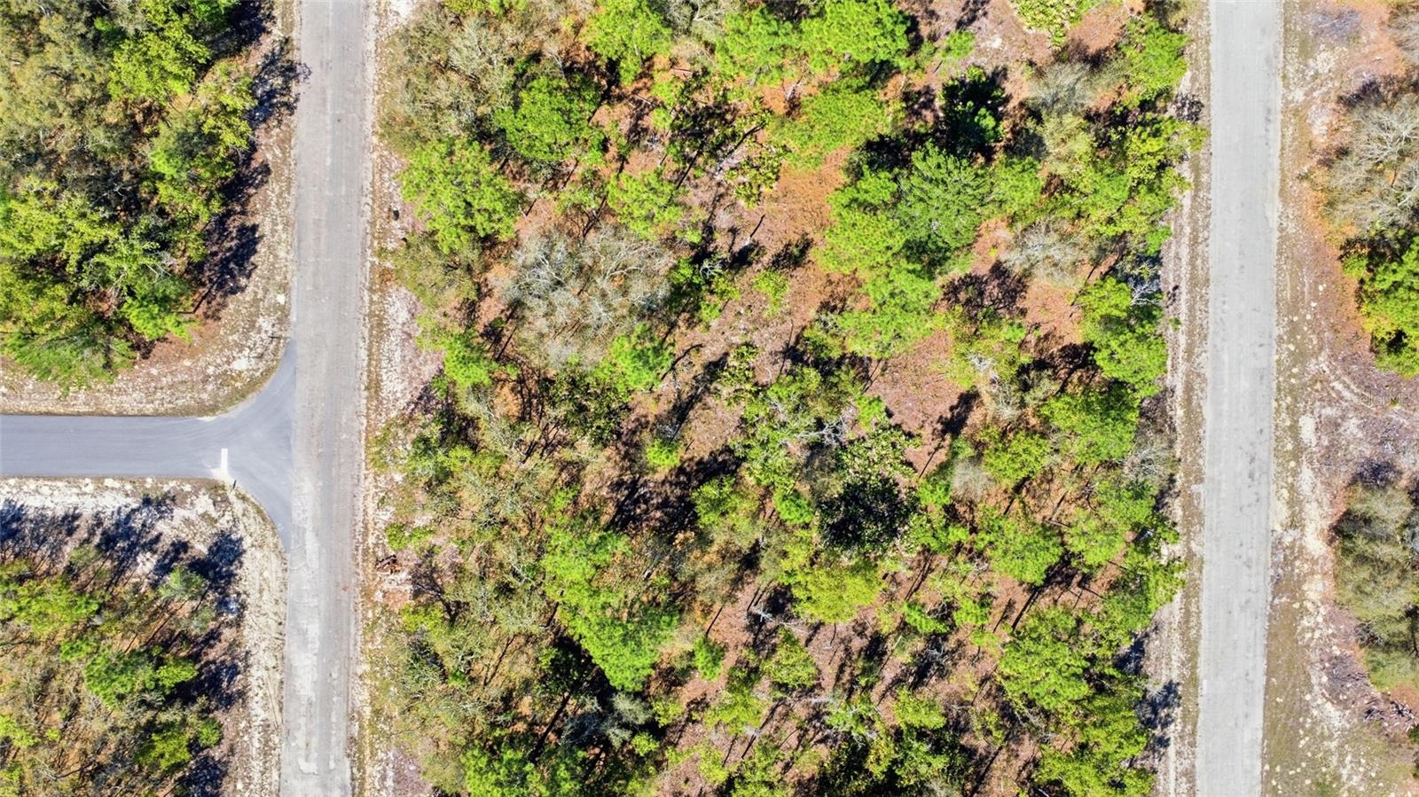 Land at 1877 W PENDLETON ST, DUNNELLON, photo 2 of 12