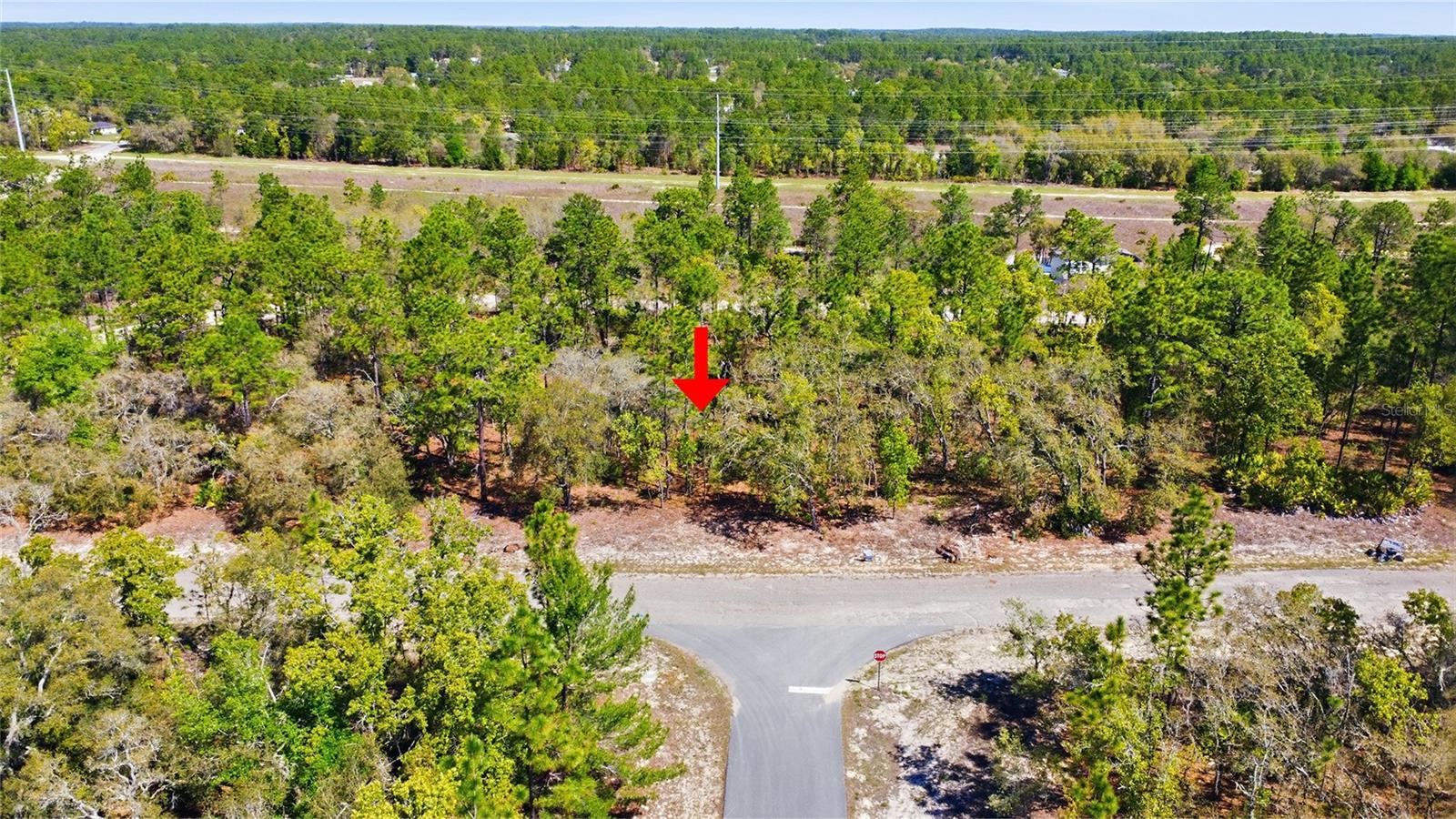 Land at 1877 W PENDLETON ST, DUNNELLON, photo 4 of 12