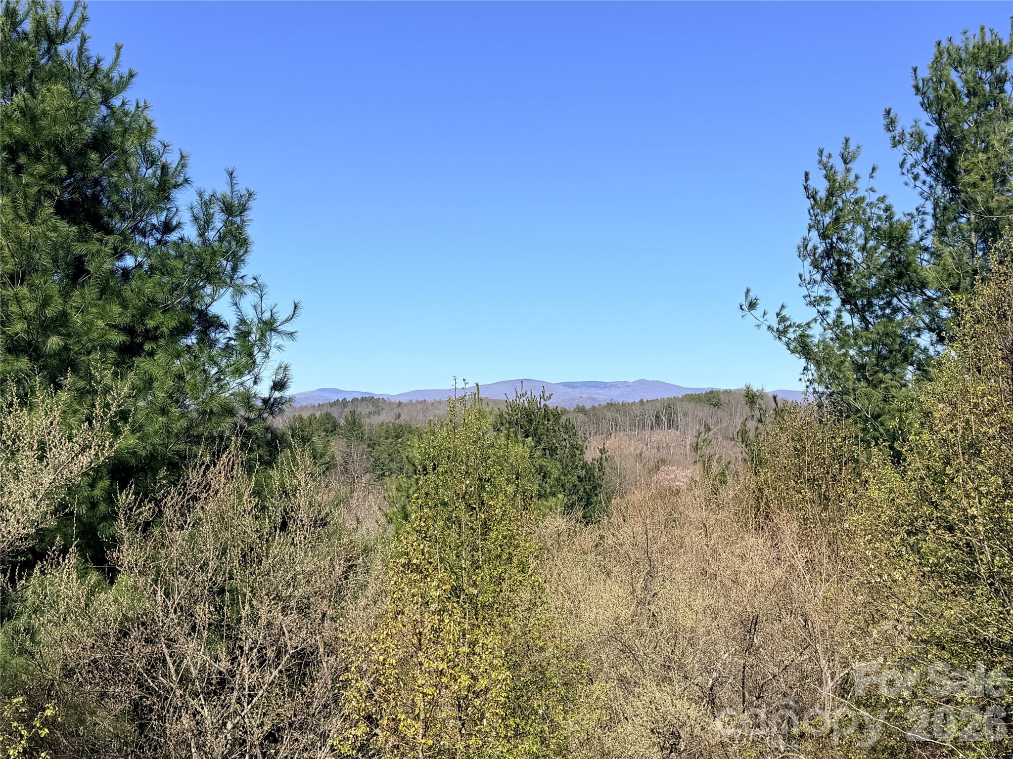 Lot at TBD (Lot 21 & 22) Martha Lane, Piney Creek