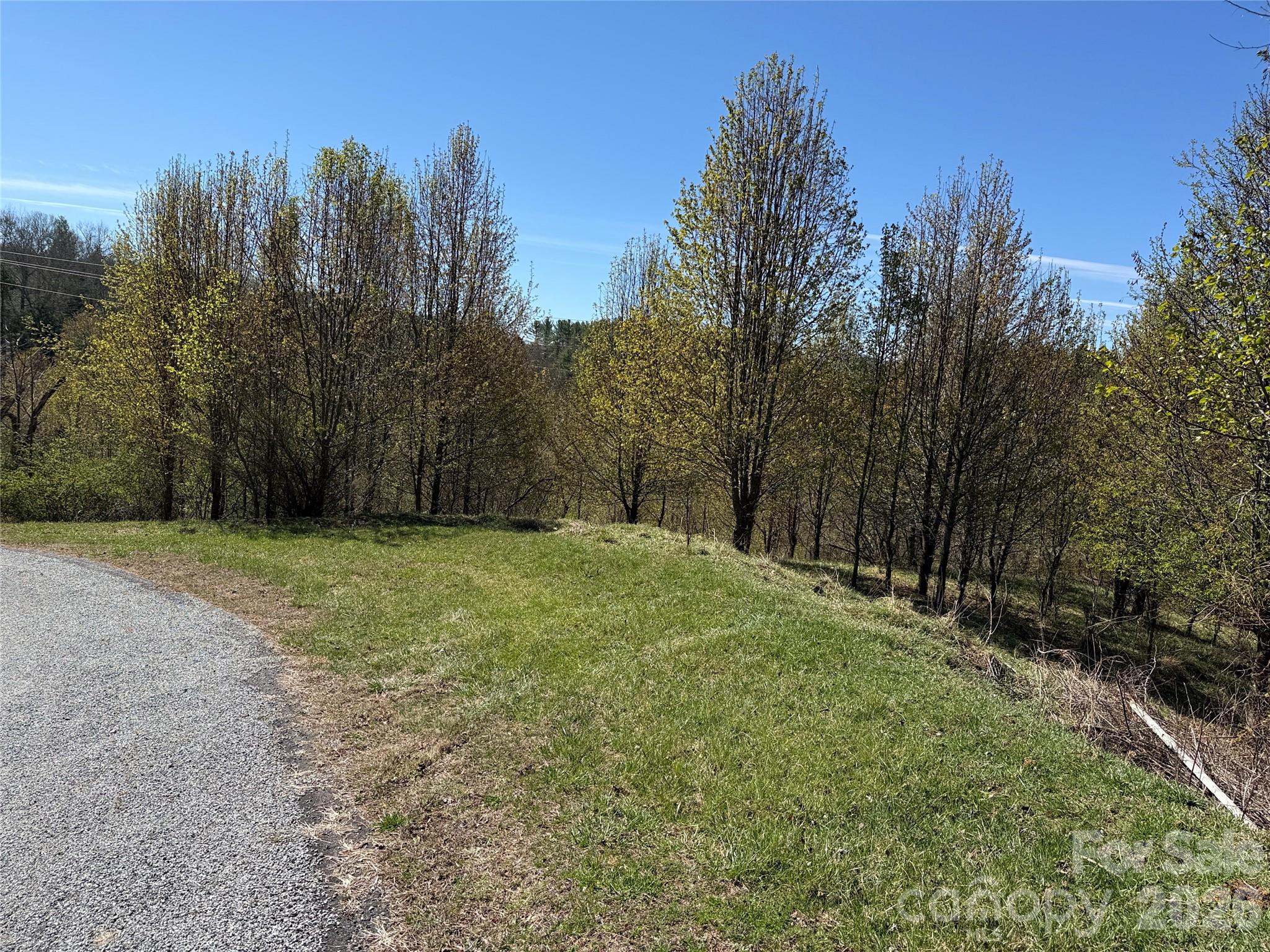 Paved Road Access - TBD (Lot 21 & 22) Martha Lane, Piney Creek