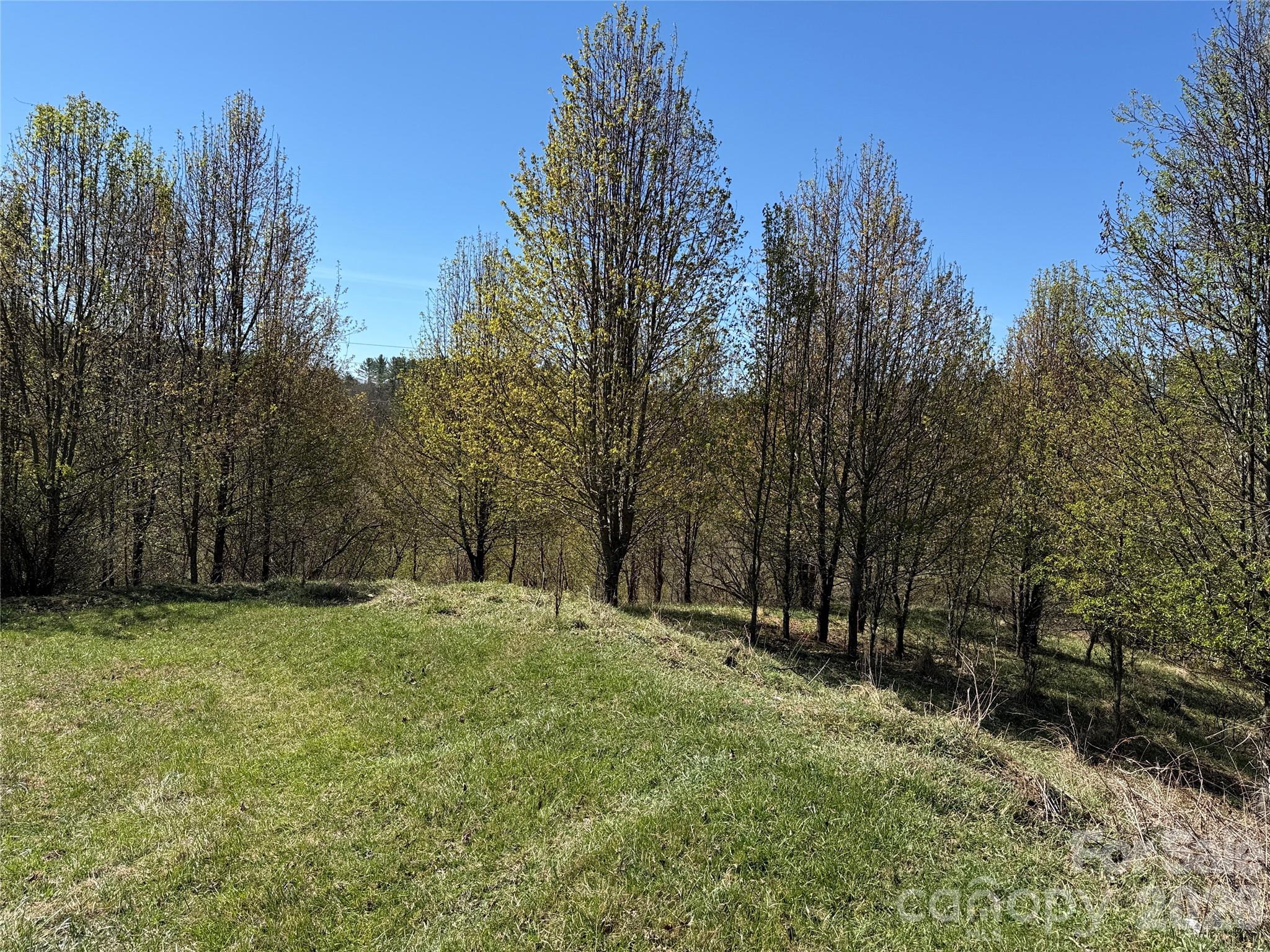 Lot at TBD (Lot 21 & 22) Martha Lane, Piney Creek, photo 4 of 34