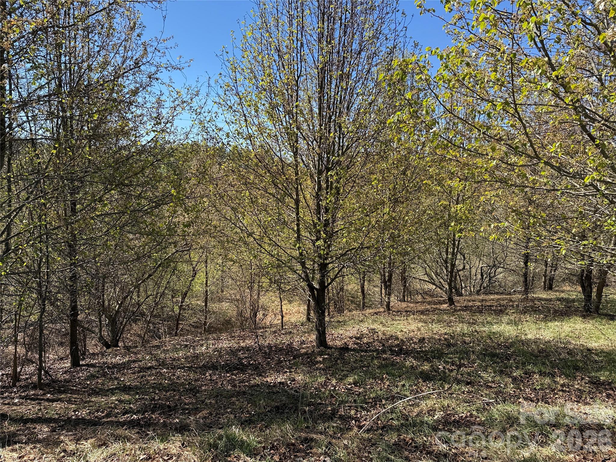 Lot at TBD (Lot 21 & 22) Martha Lane, Piney Creek, photo 7 of 34