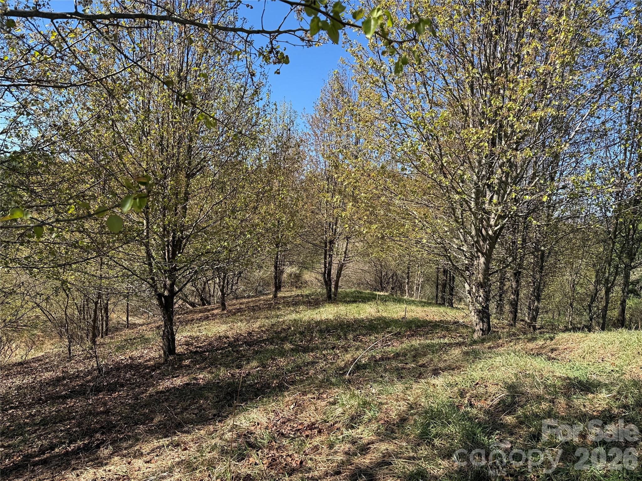 Lot at TBD (Lot 21 & 22) Martha Lane, Piney Creek, photo 8 of 34