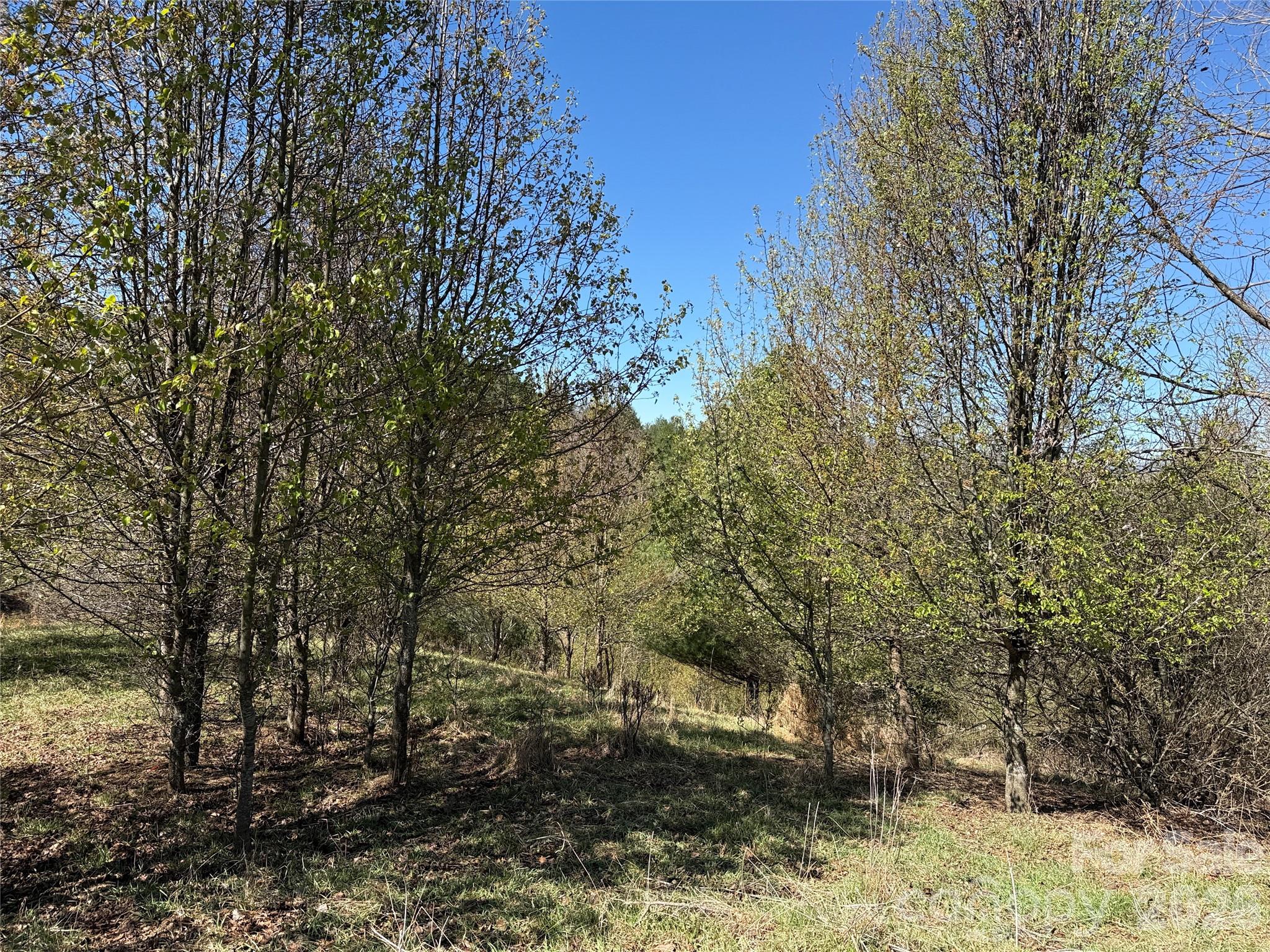 Lot at TBD (Lot 21 & 22) Martha Lane, Piney Creek, photo 9 of 34