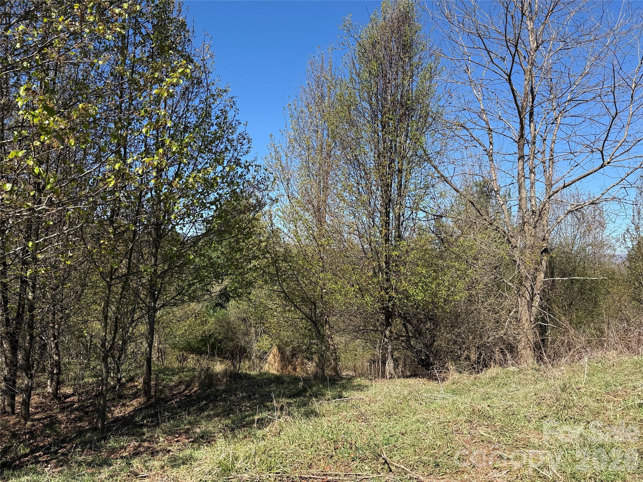 Lot at TBD (Lot 21 & 22) Martha Lane, Piney Creek, photo 10 of 34