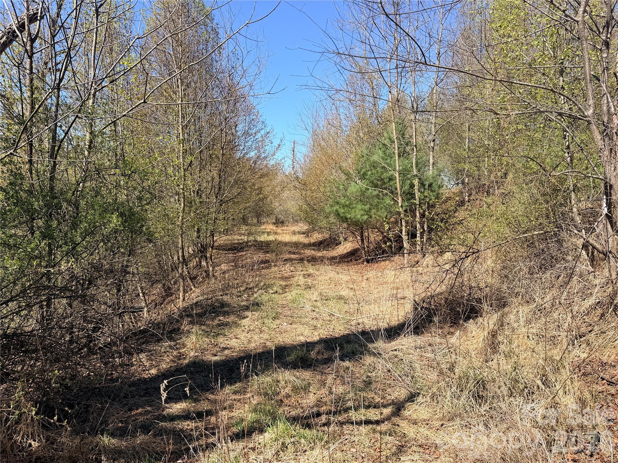 Lot at TBD (Lot 21 & 22) Martha Lane, Piney Creek, photo 18 of 34