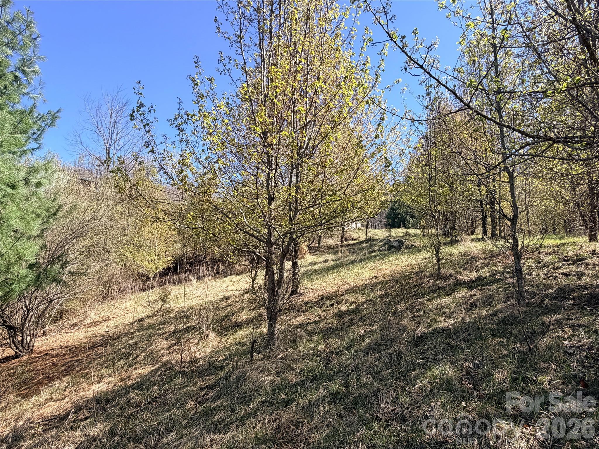 Lot at TBD (Lot 21 & 22) Martha Lane, Piney Creek, photo 19 of 34