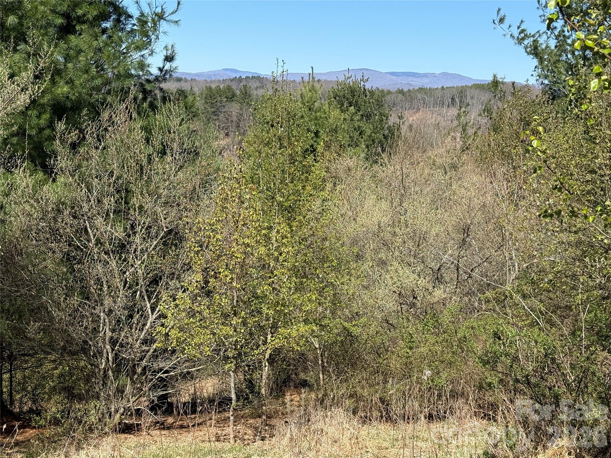 Lot at TBD (Lot 21 & 22) Martha Lane, Piney Creek, photo 24 of 34