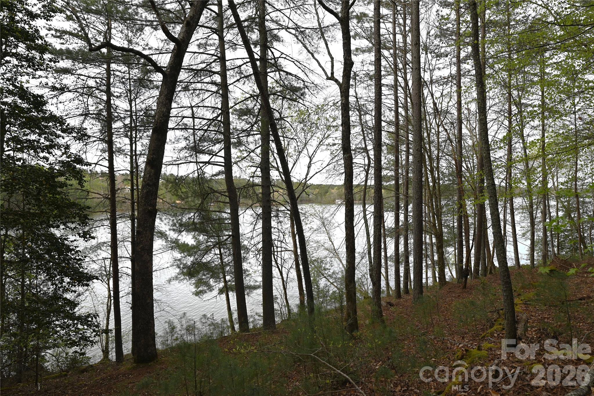 500 + feet of lakefront shoreline on deep water channel. - 2299 Lighthouse Lane, Connelly Springs